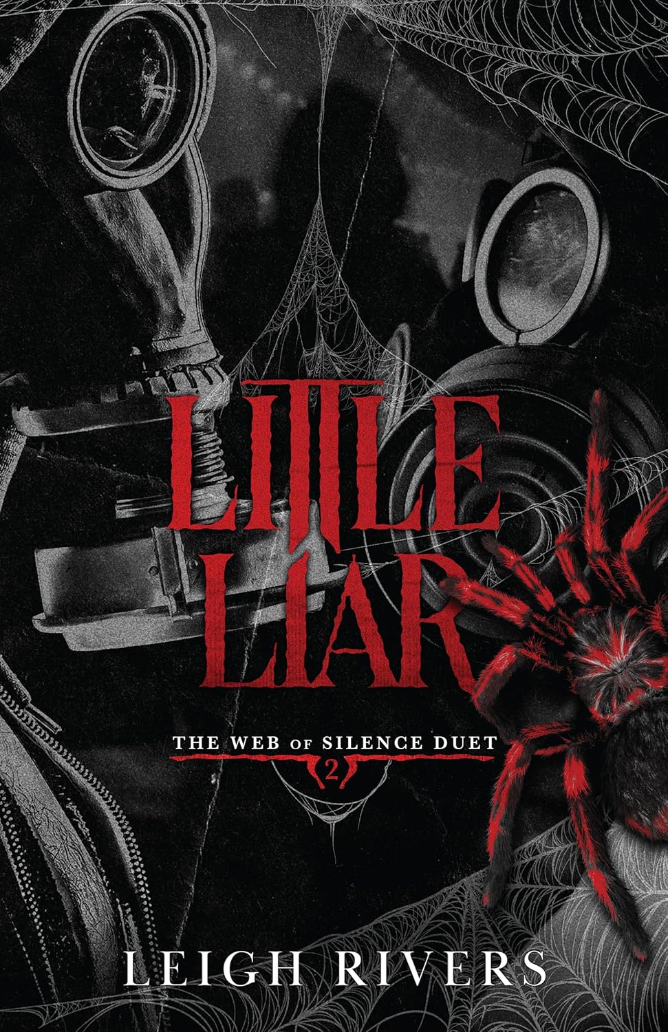 Little Liar (The Web of Silence Duet #2) by Leigh Rivers-New