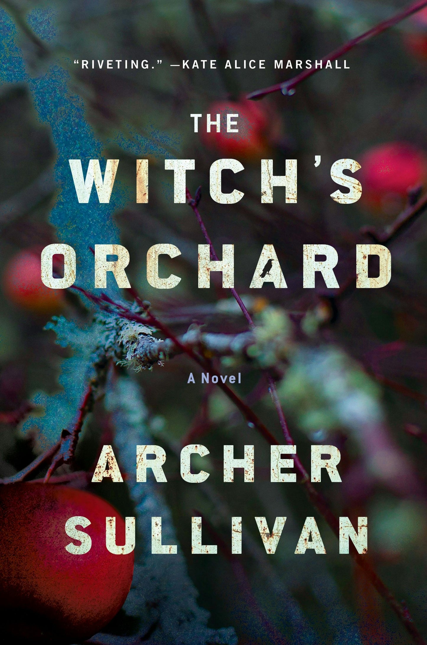 The Witch's Orchard by Archer Sullivan - Hardcover New