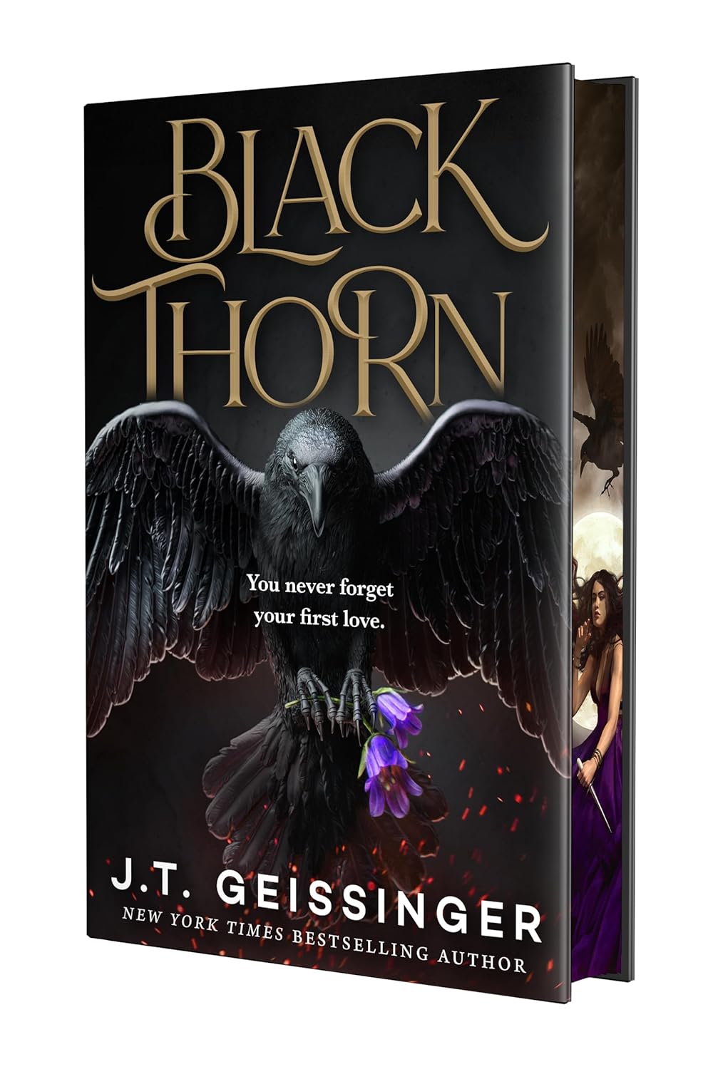 Blackthorn by J.T. Geissinger - Hardcover Deluxe Edition Used