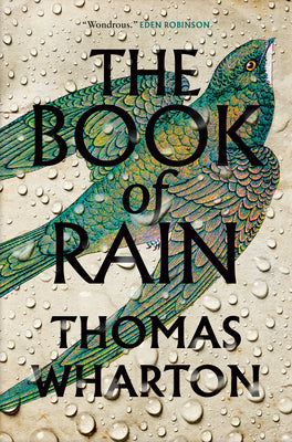 The Book of Rain by Thomas Wharton - Hardcover Used