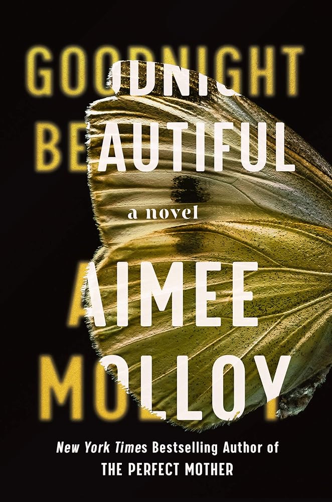 Goodnight Beautiful: A Novel cover image