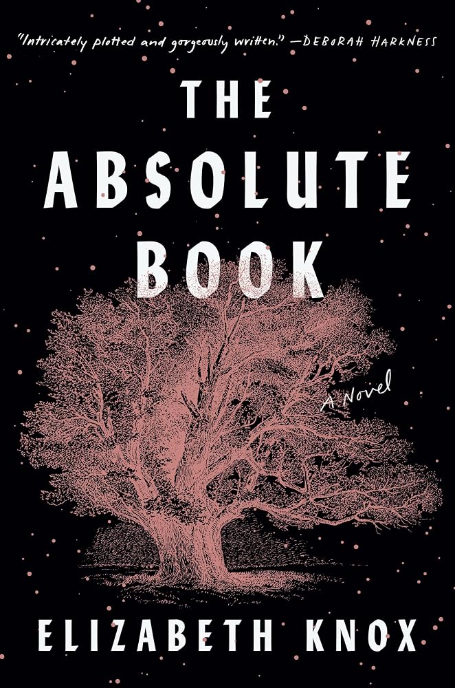 THE ABSOLUTE BOOK cover image