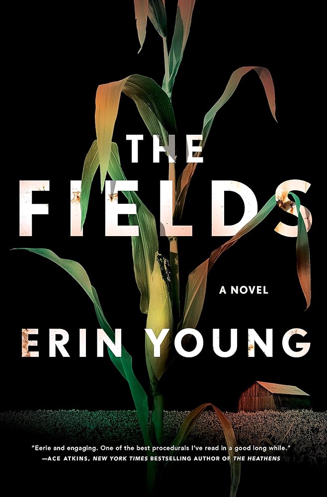 The Fields: A Novel (International Edition) cover image