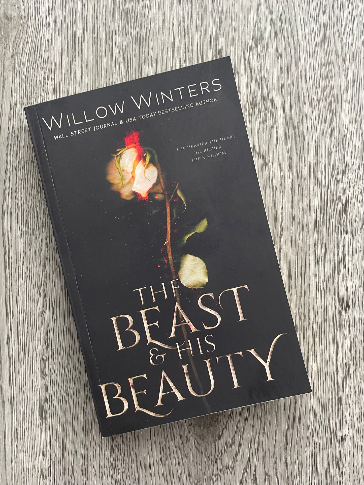 The Beast and His Beauty by Willow Winters-Used