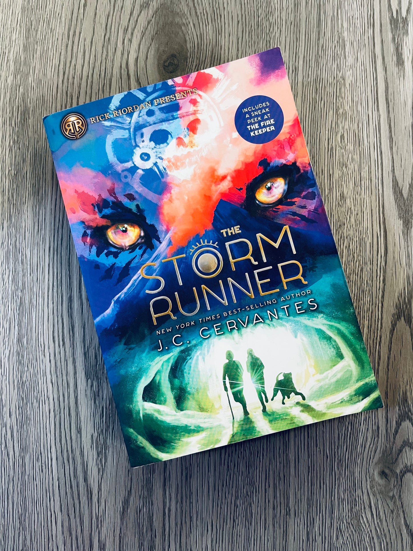 The Storm Runner (The Storm Runner #1) by J.C Cervantes-Used
