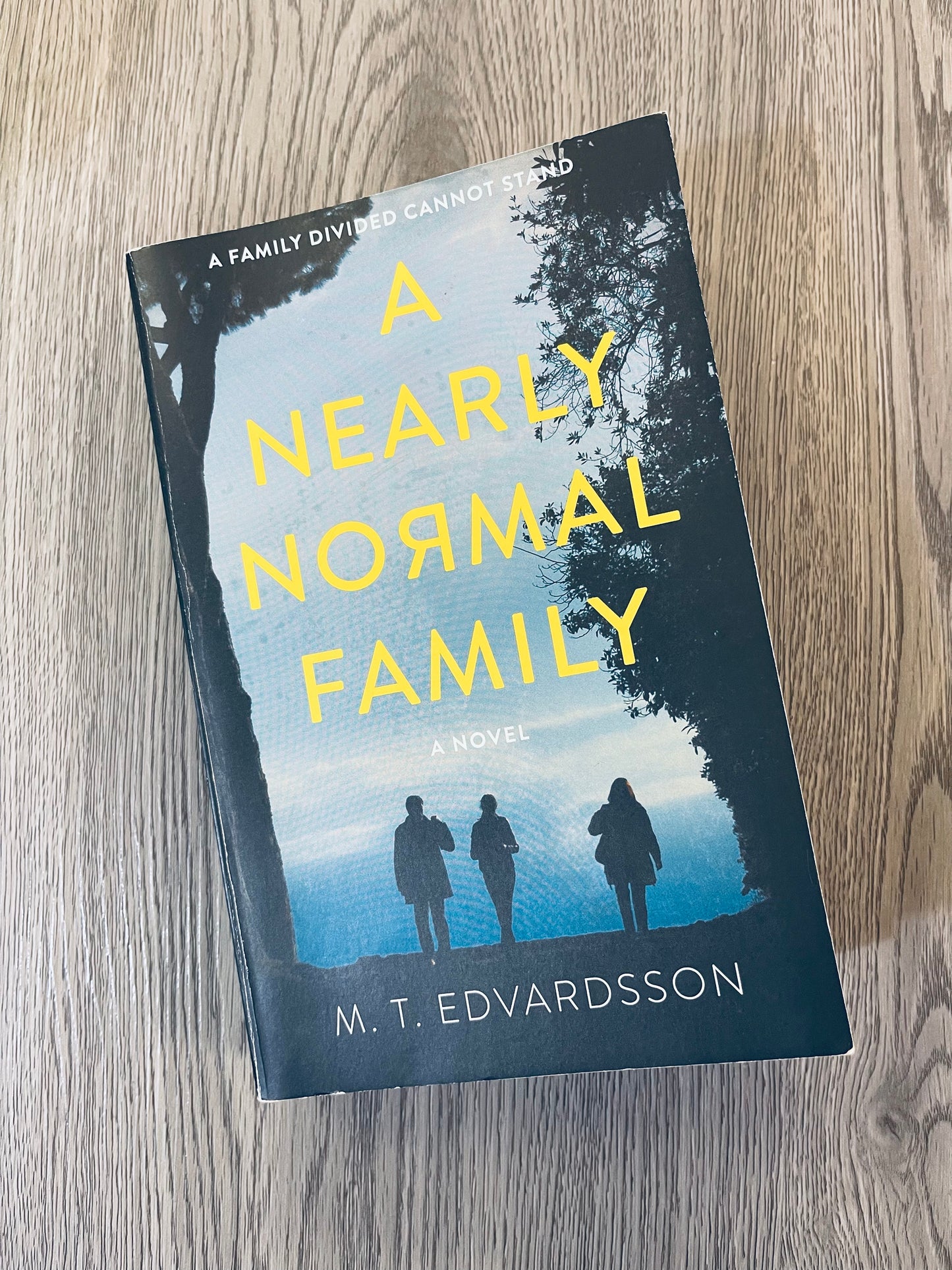 A Nearly Normal Family by M.T Edvardsson-Used