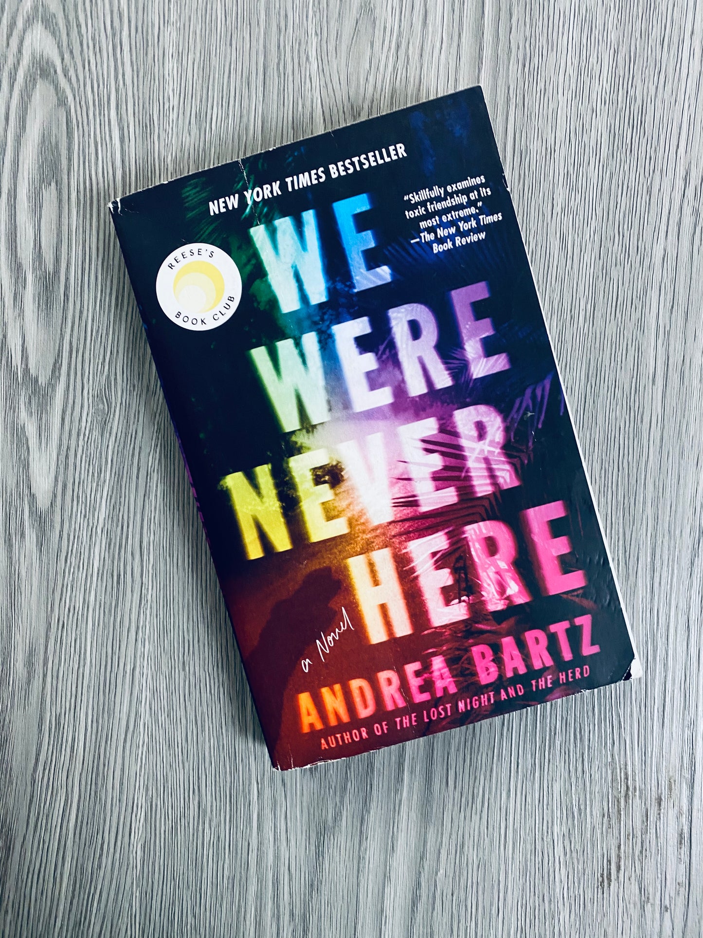 We Were Never Here by Andrea Bartz-Used