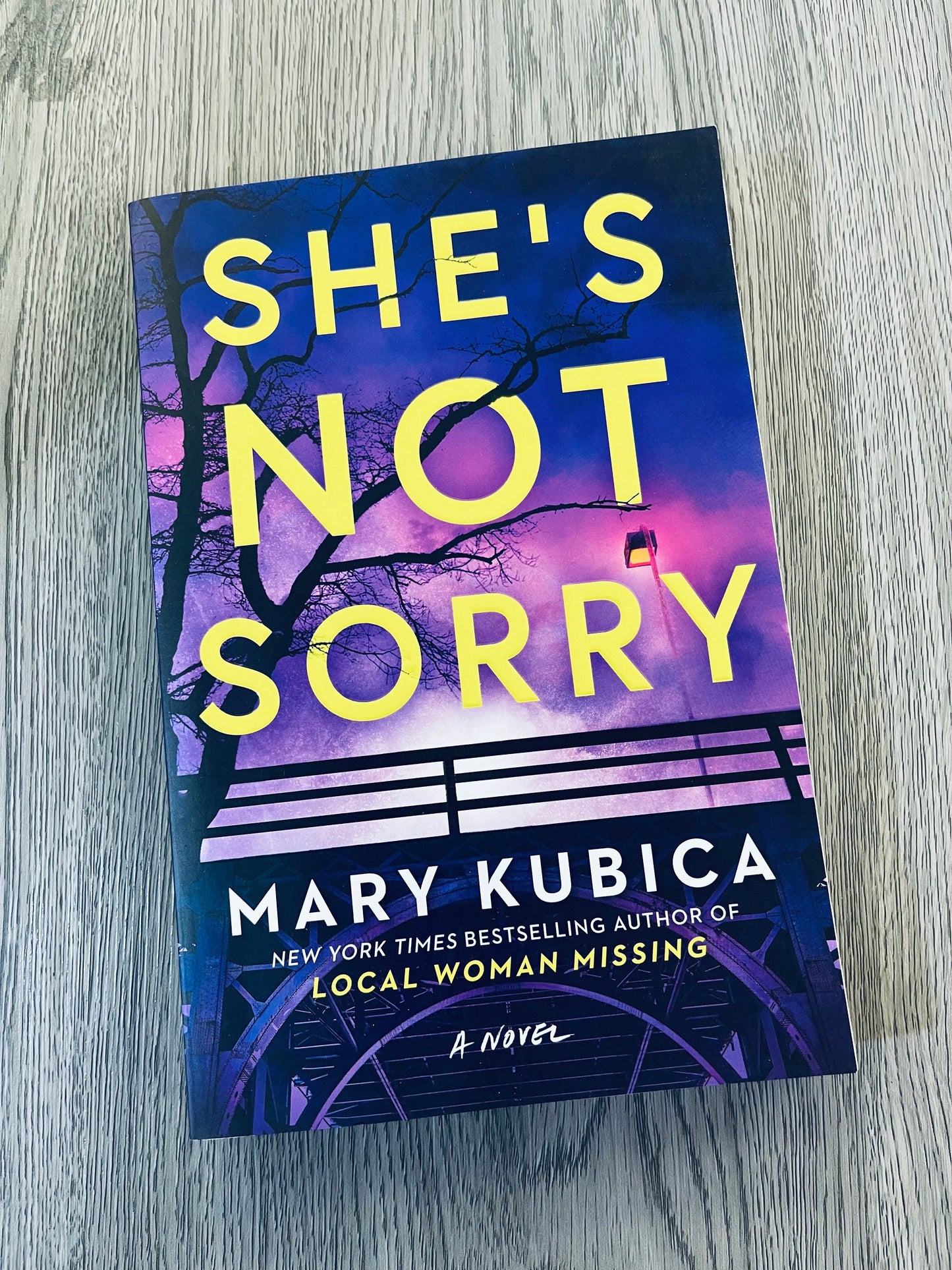 She's Not Sorry by Mary Kubica-Used