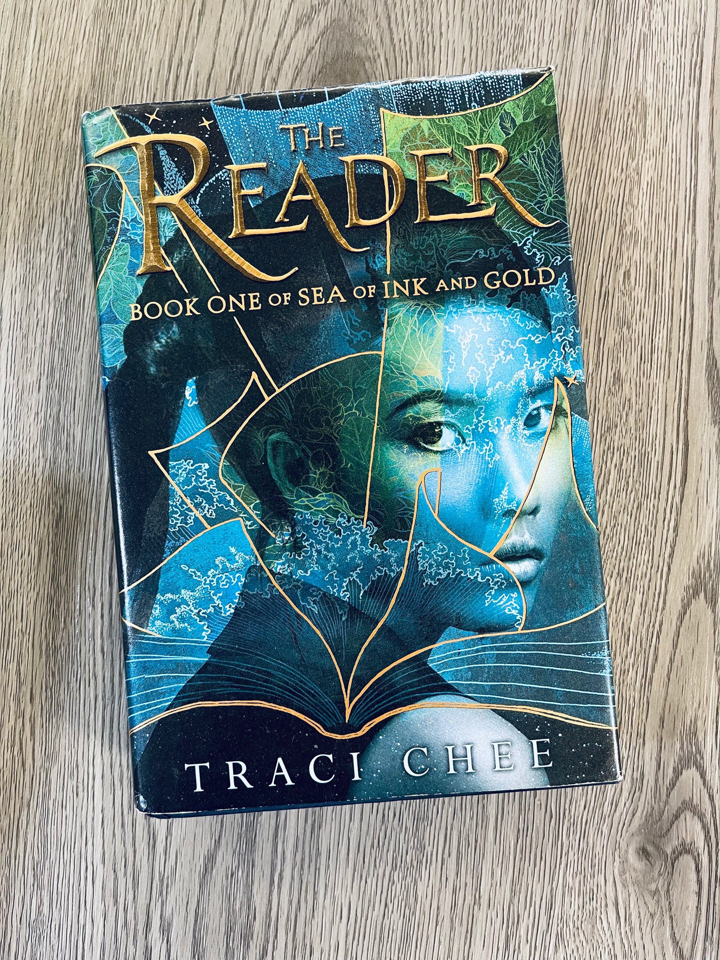 The Reader ( The Reader Trilogy #1) by Traci Chee-Hardcover Used