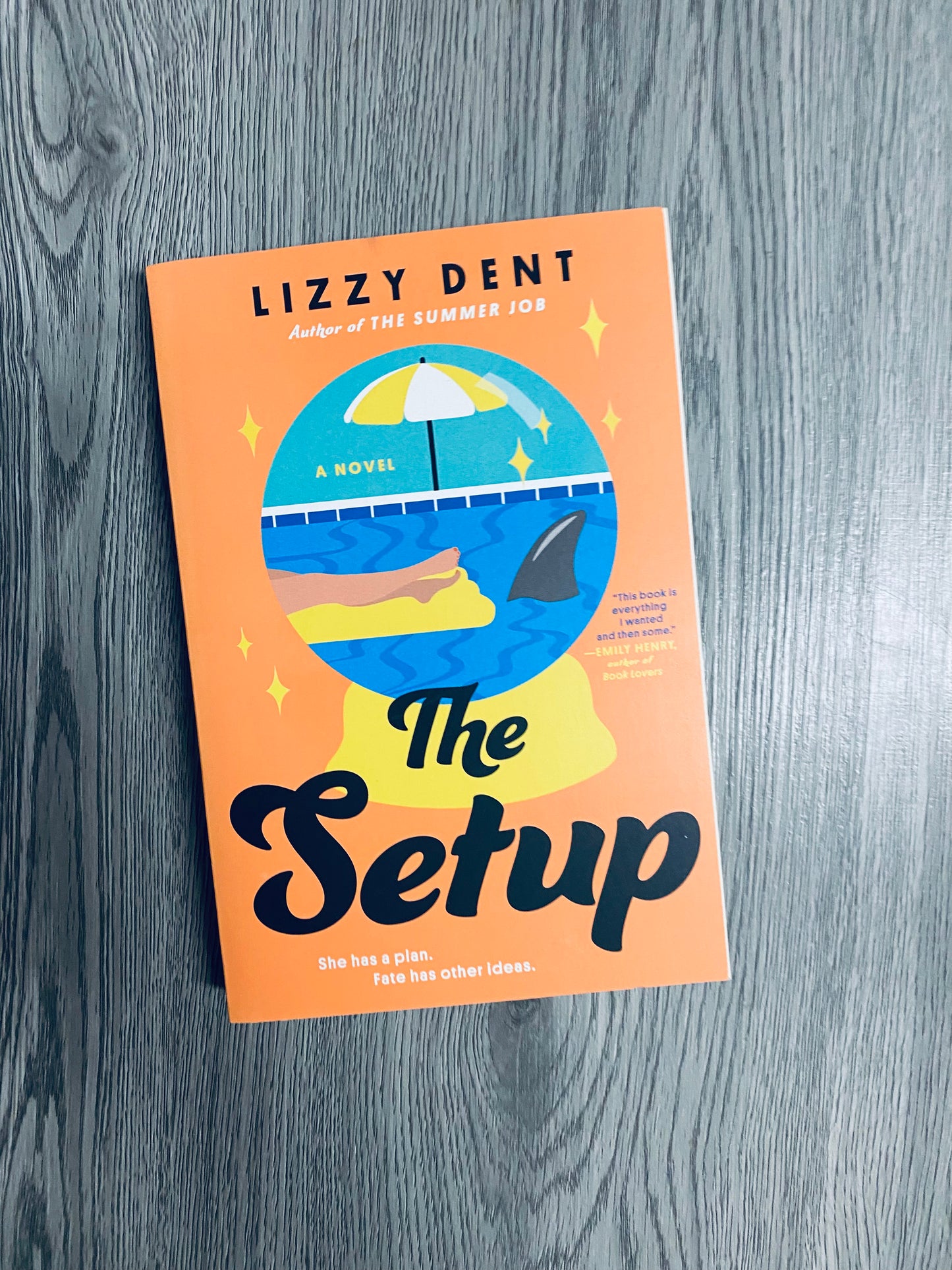 The Setup by Lizzy Dent-Used