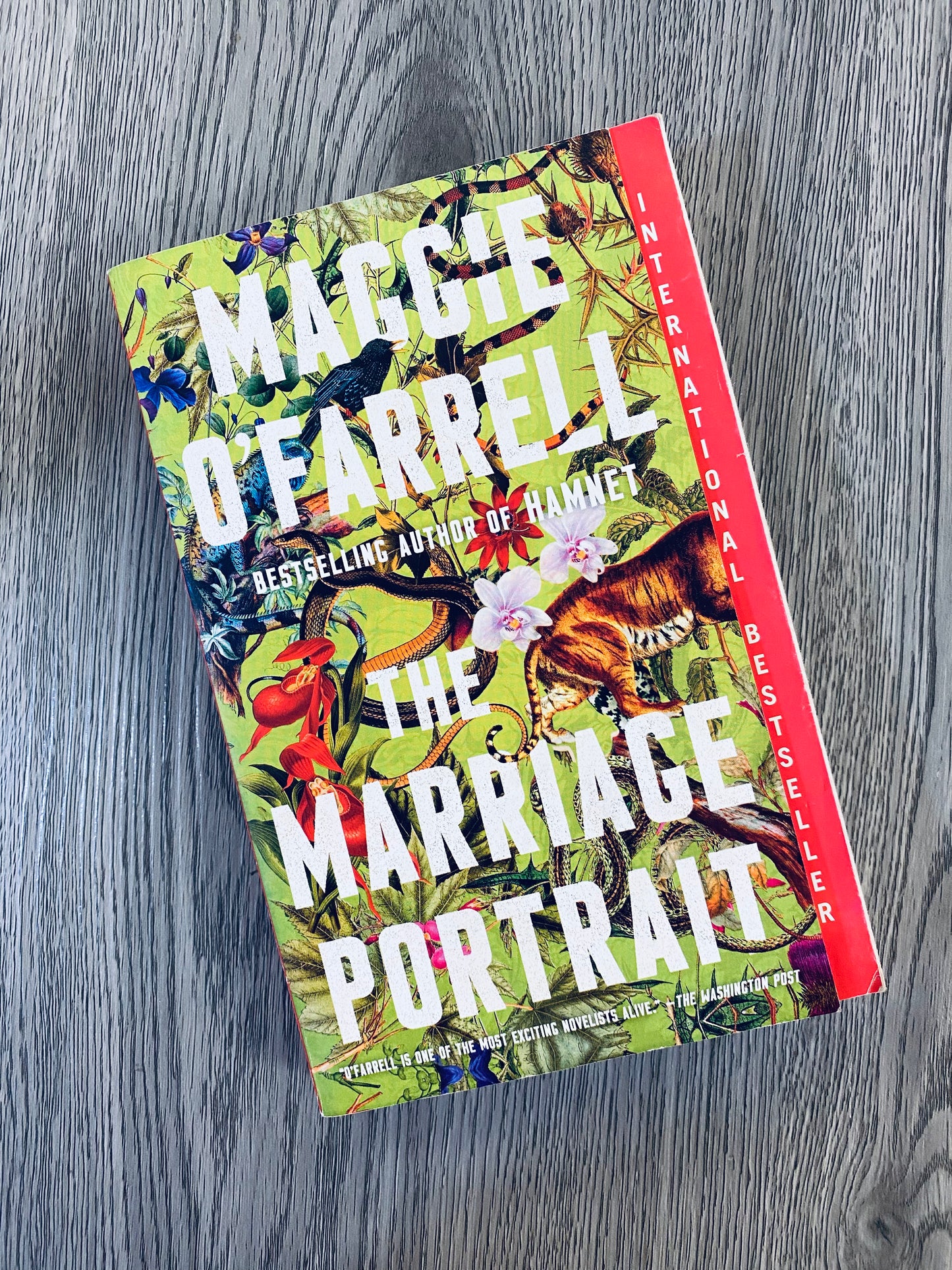 The Marriage Portrait by Maggie O'Farrell-Used