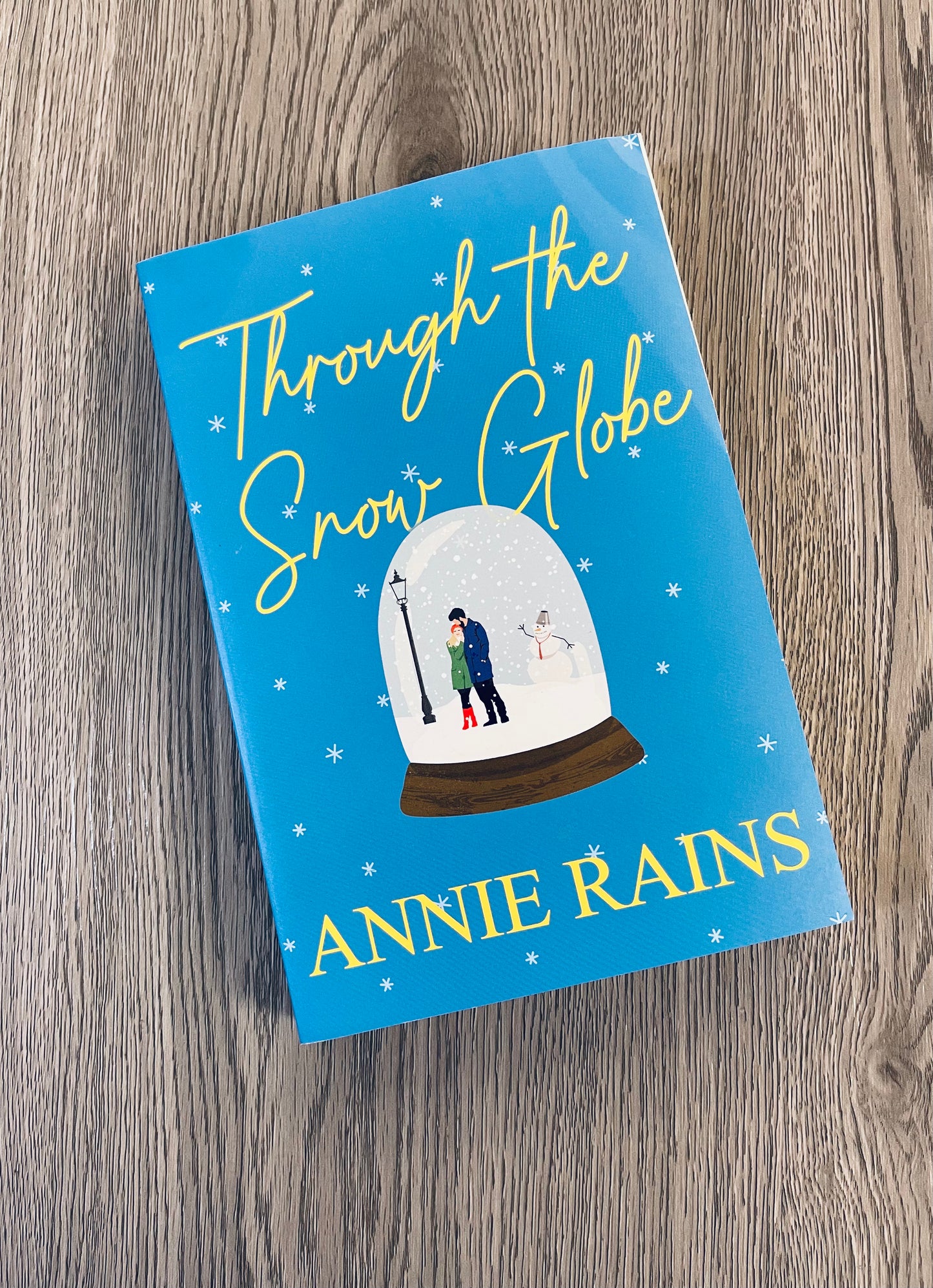 Through the Snow Globe-Annie Rains-Used