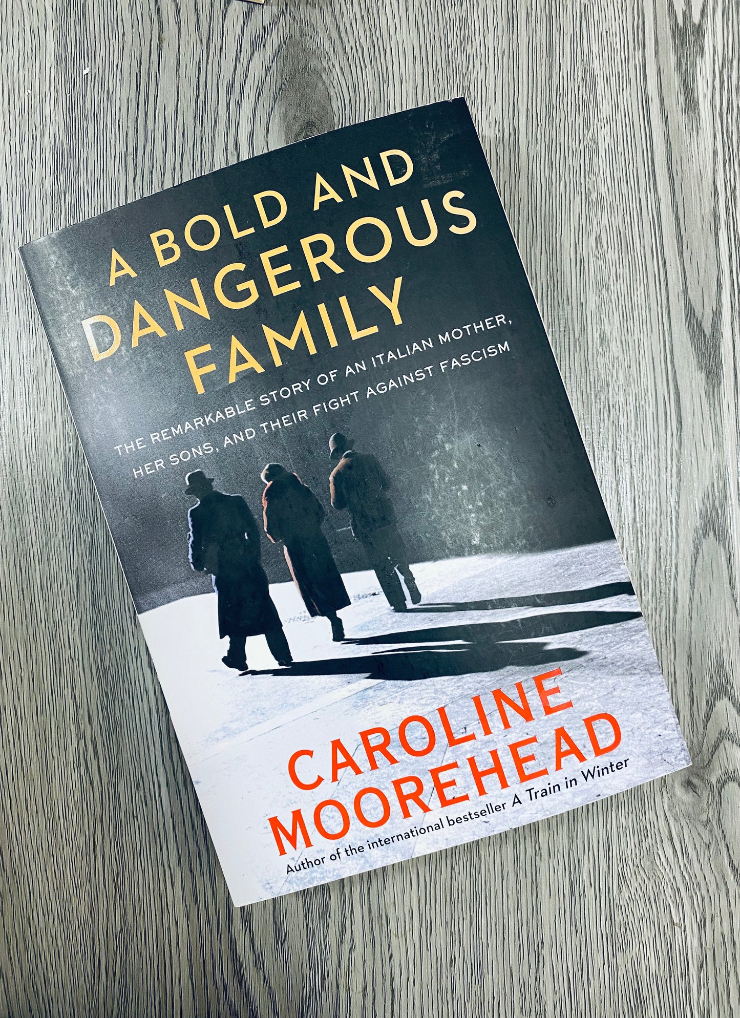 A Bold and Dangerous Family: The Remarkable Story of an Italian Mother, Her Two Sons, and Their Fight Against Fascism by Caroline Moorehead-Used