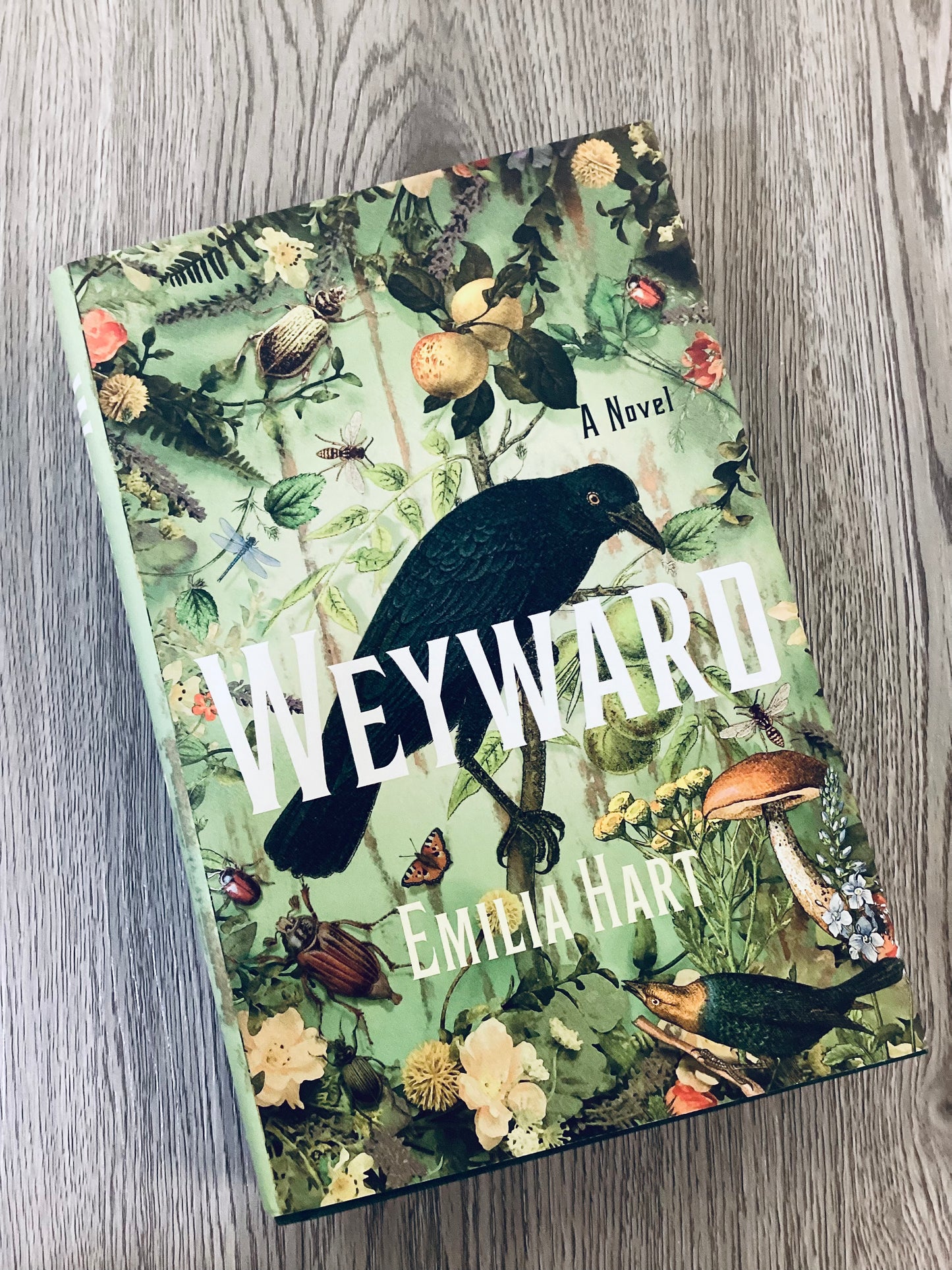 Wayward by Emilia Hart - Hardcover Used