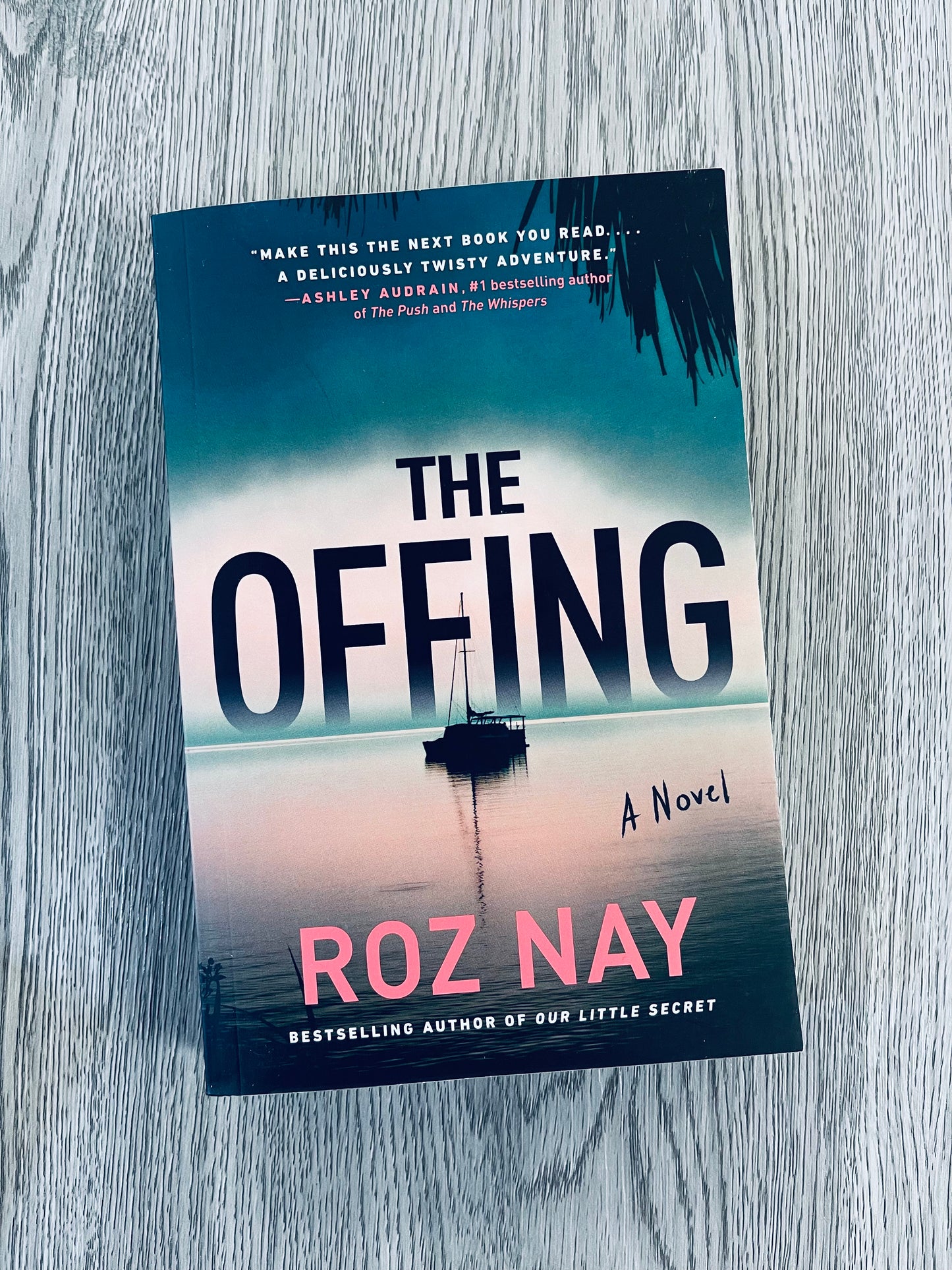The Offing by Roz Nay-Used