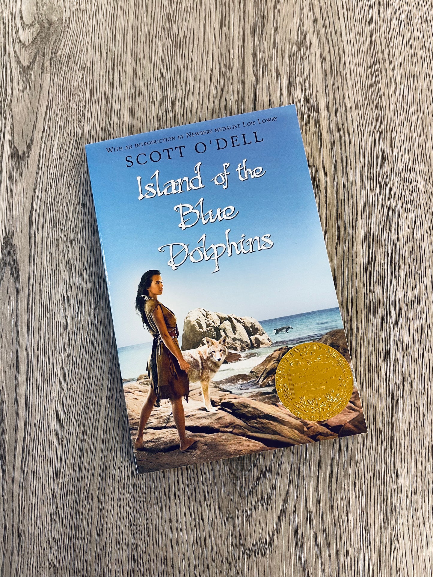 Island of The Blue Dolphins (Island of the Blue Dolphins #1) by Scott O'Dell-Used