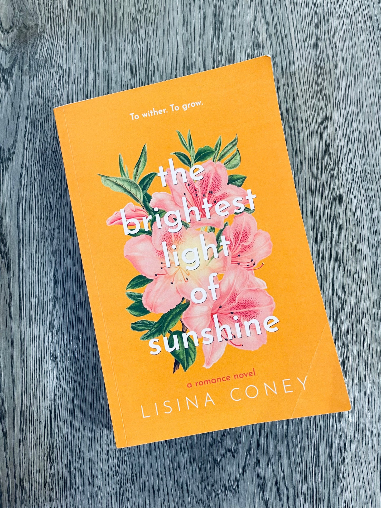 The Brightest Light of Sunshine (The Brightest Light #1) by Lisina Coney-Used