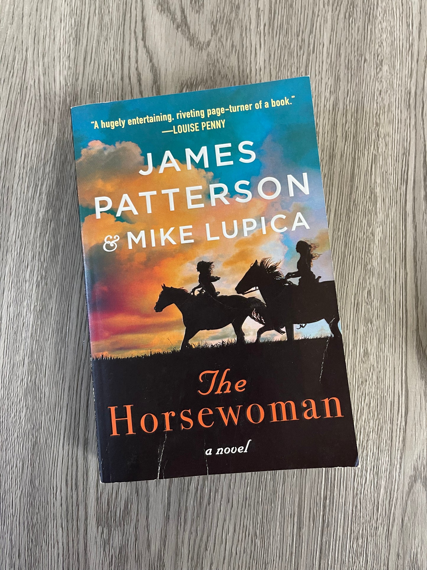The Horsewoman by James Patterson and Mike Lupica-Used
