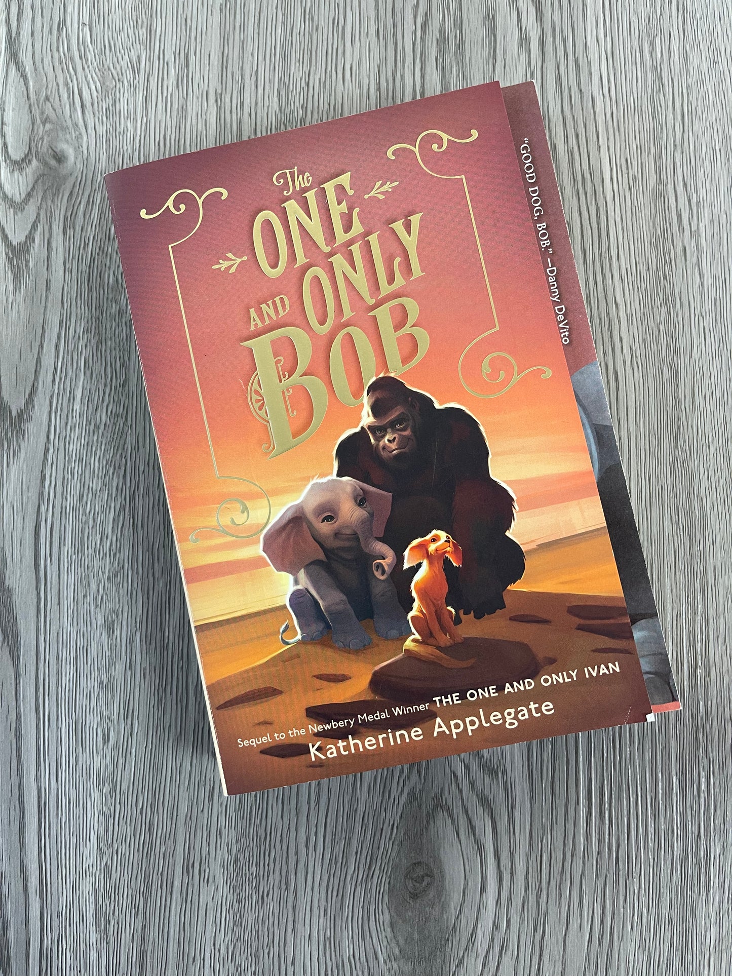 The One and Only Bob (The One and Only Ivan #2) by Katherine Applegate - Hardcover Used