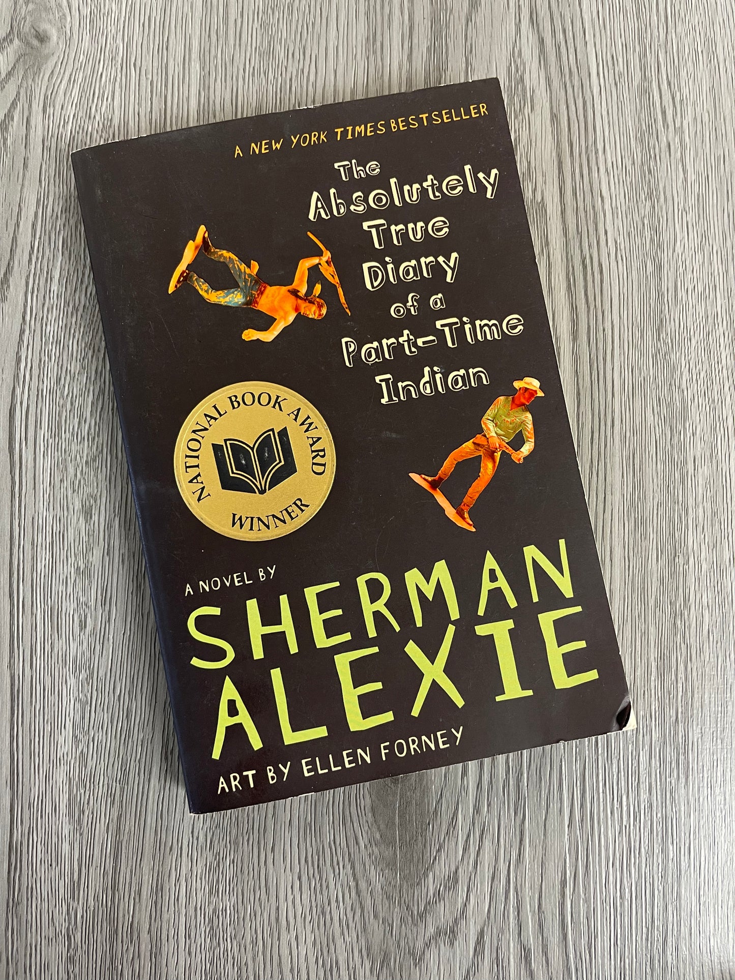 The Absolutely True Diary of a Part-Time Indian by Sherman Alexie-Used