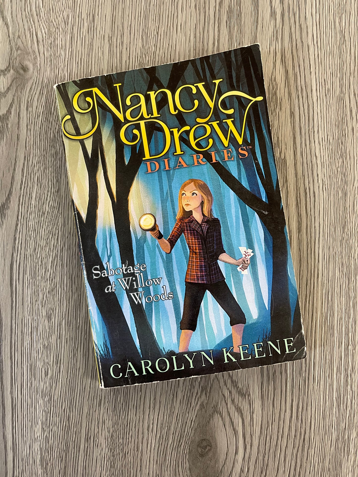 Nancy Drews Diaries Series by Carolyn Keene-Used
