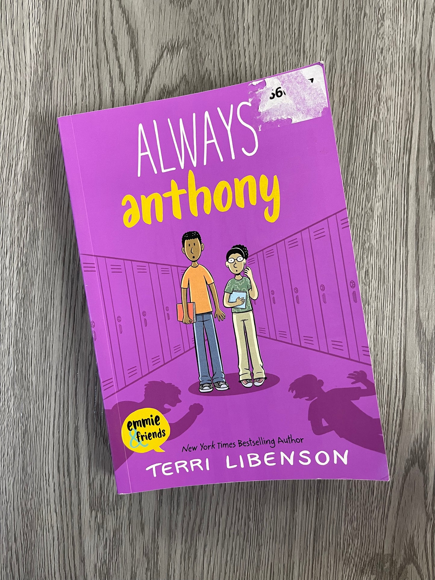 Emmie & Friends Series by Terri Libenson - Used