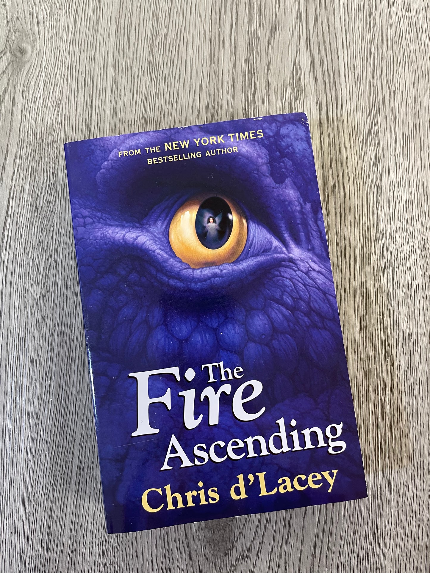The Last Dragon Chronicles Series by Chris d'lacey-Used