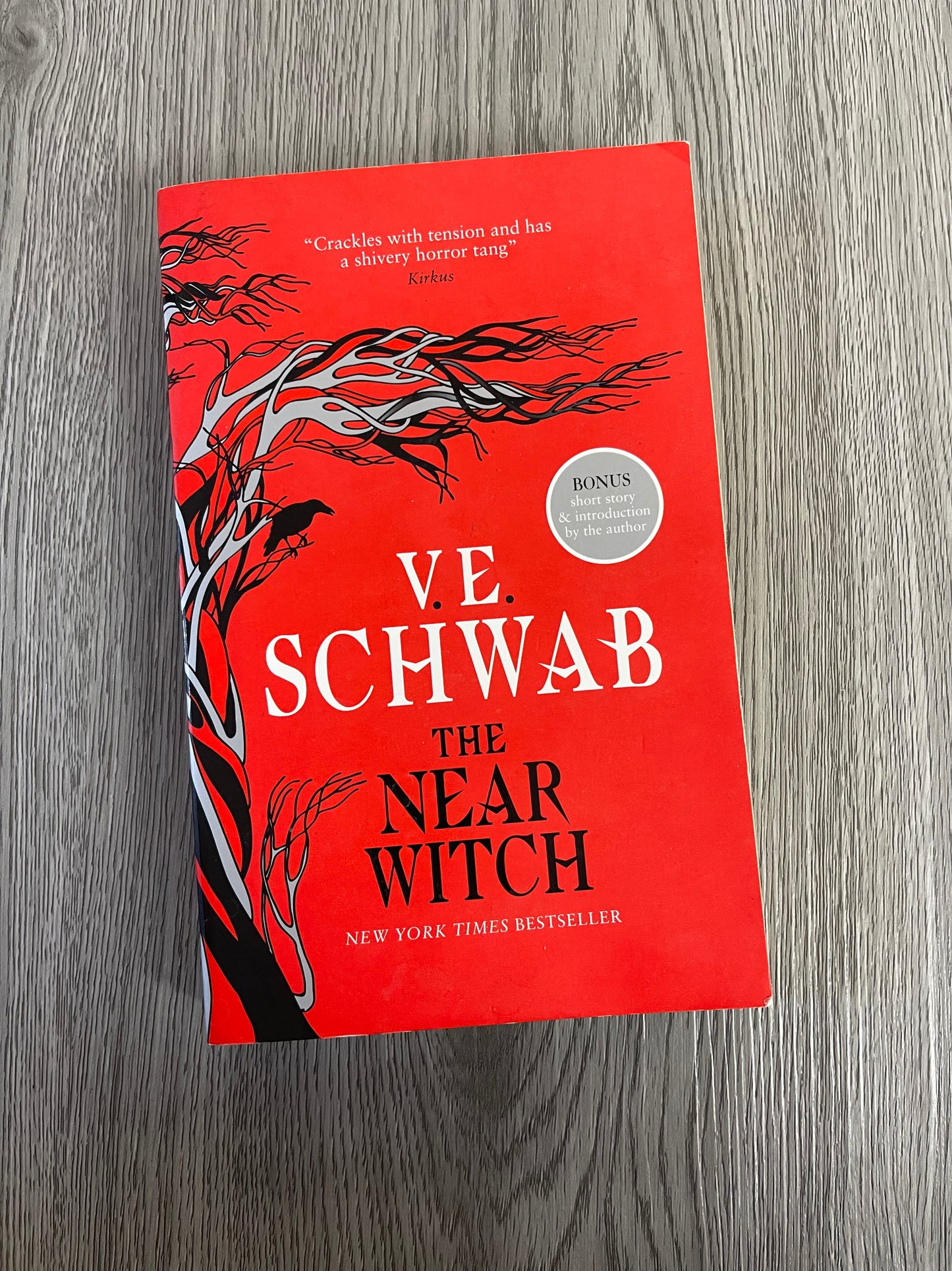 The Near Witch (The Near Witch #1) by V.E Schawb-Used