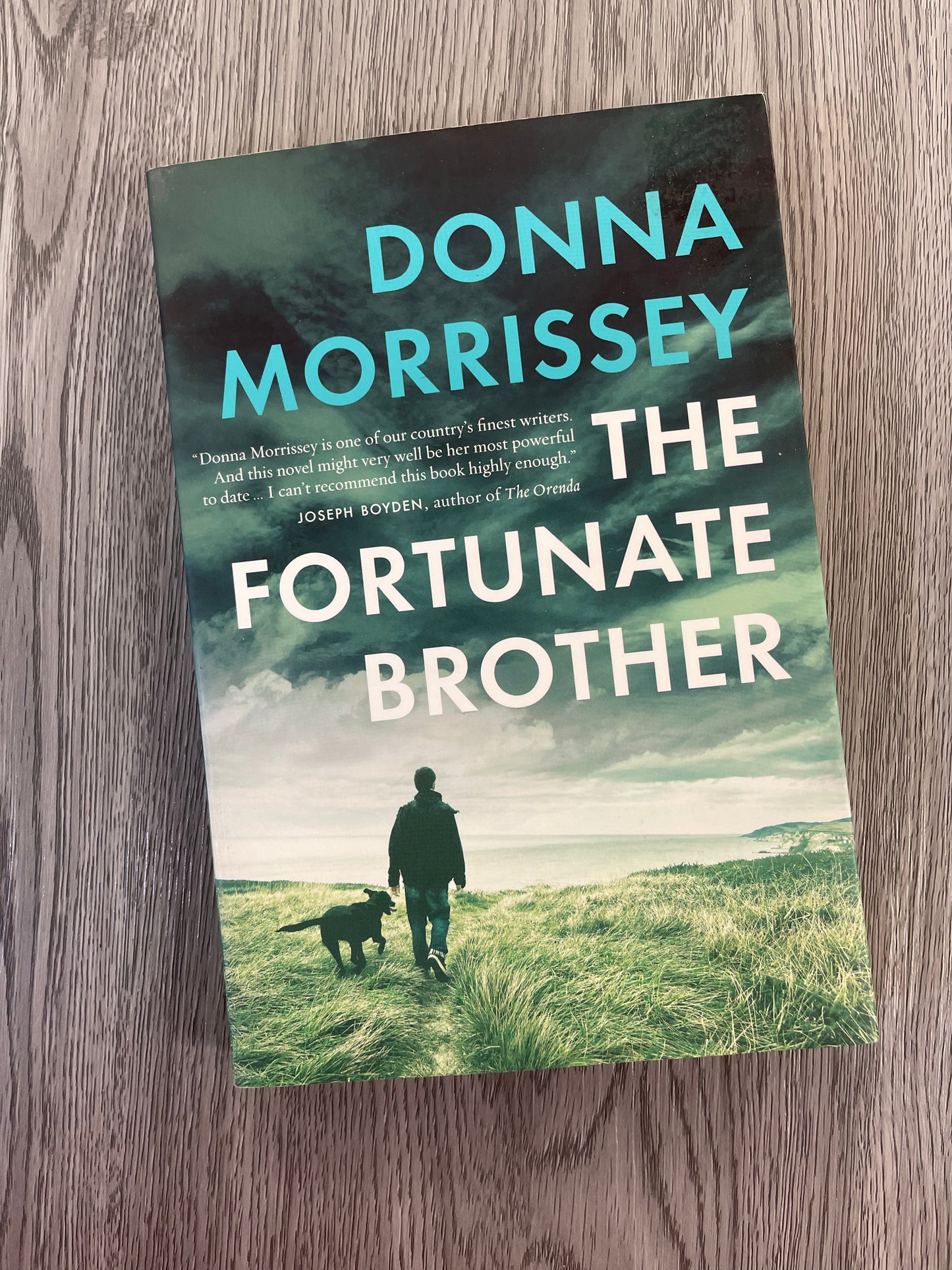 The Fortunate Brother (Sylvanus Now #3) by Donna Morrissey-Used