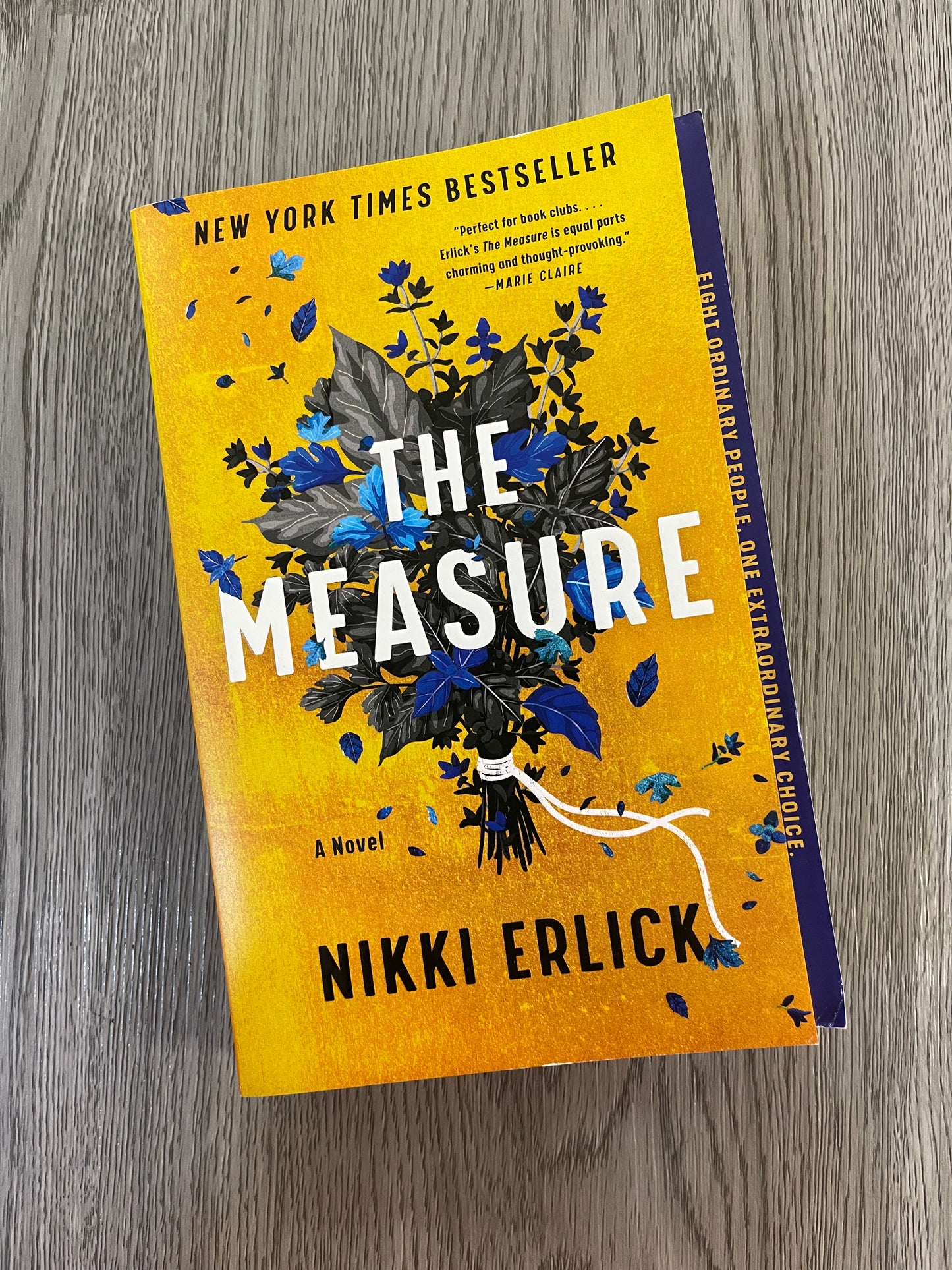 The Measure by Nikki Erlick-Used