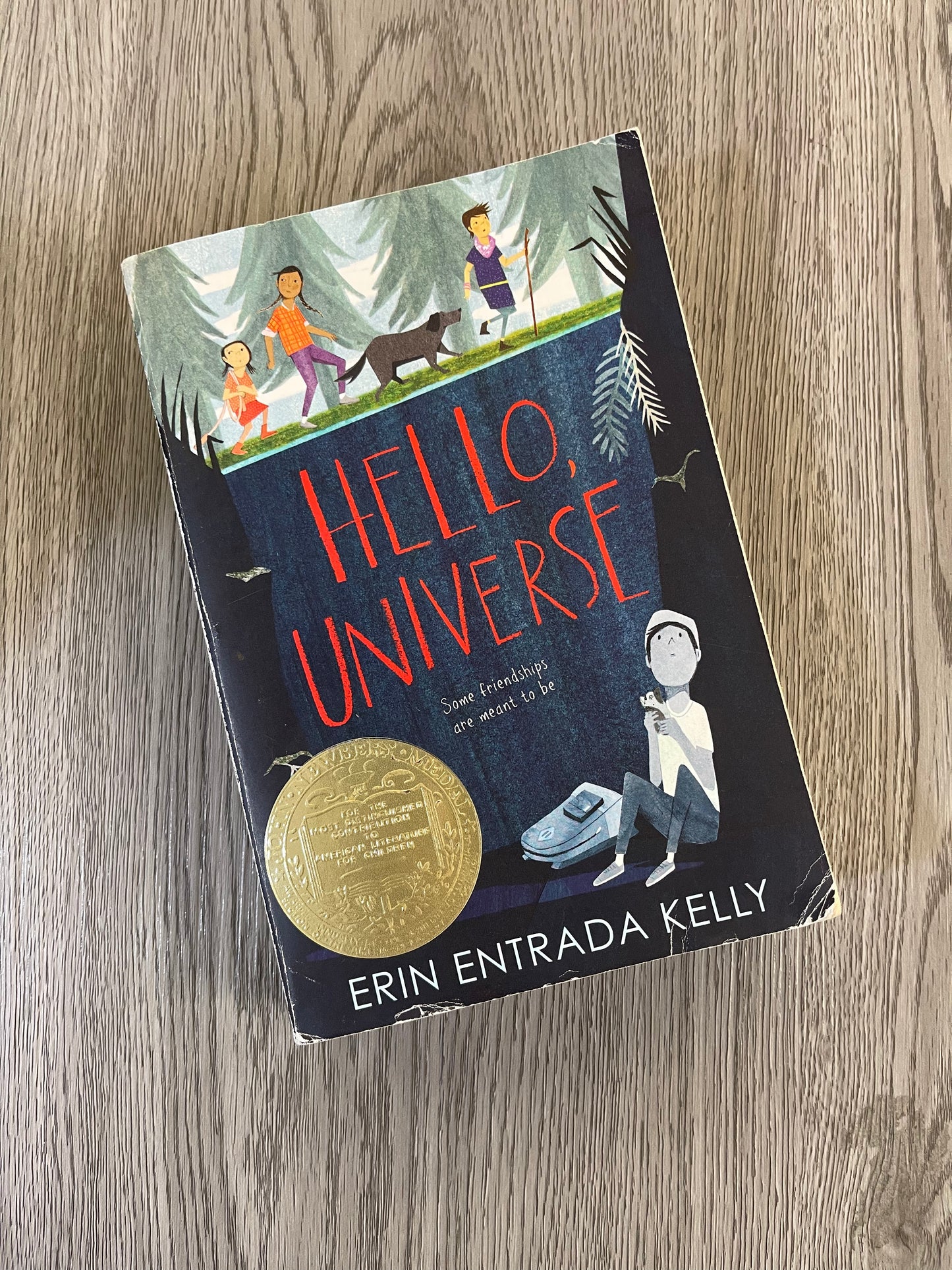 Hello, Universe by Erin Entrada Kelly-Used
