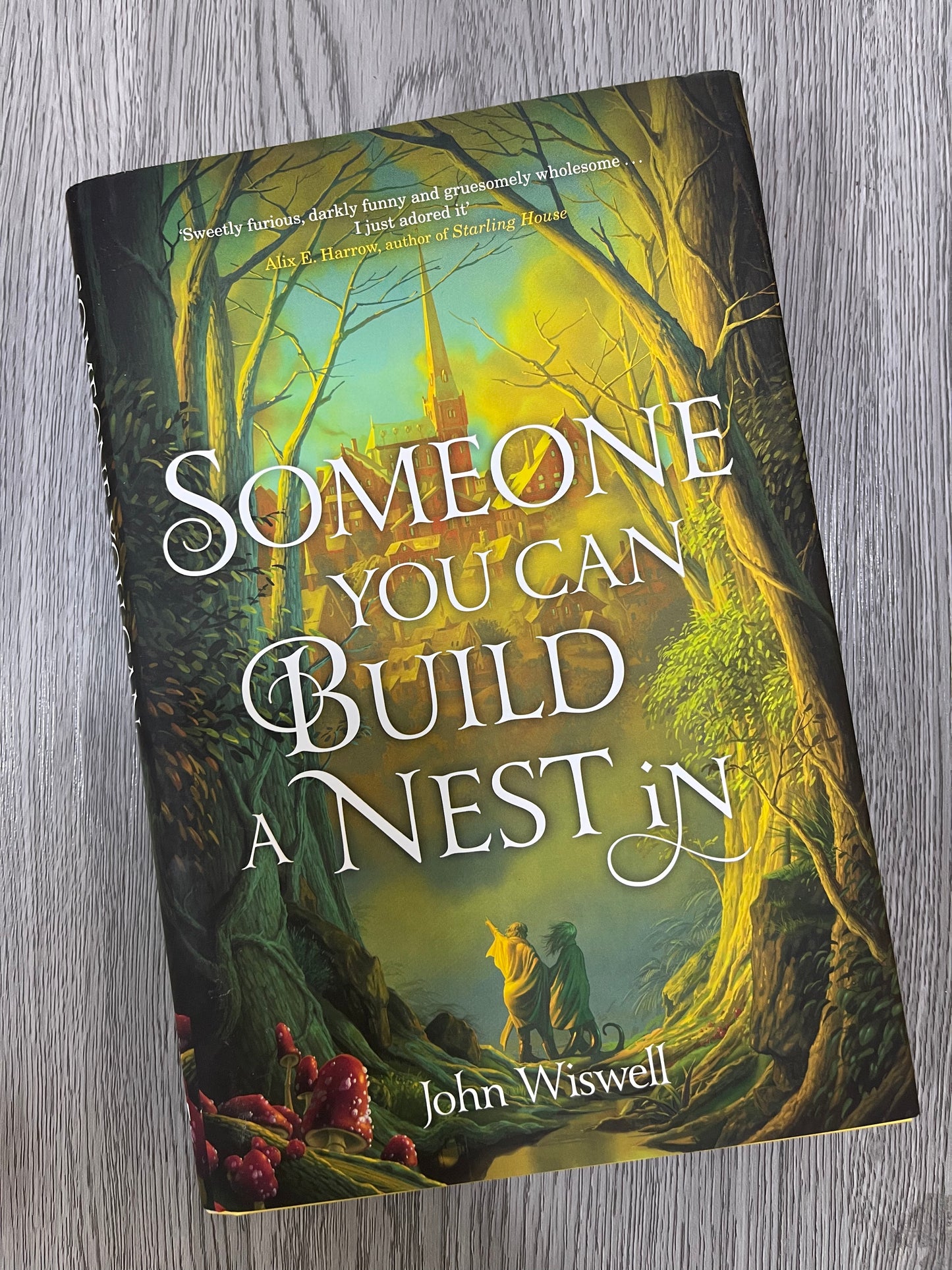Someone You Can Build A Nest In by John Wiswell-Hardcover Used