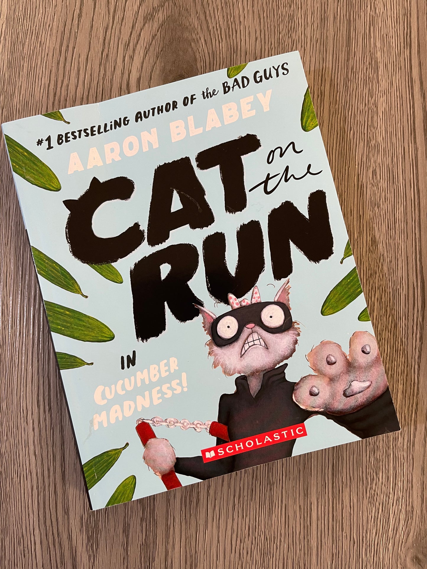 Cat on the Run Series by Aaron Blabey - Used