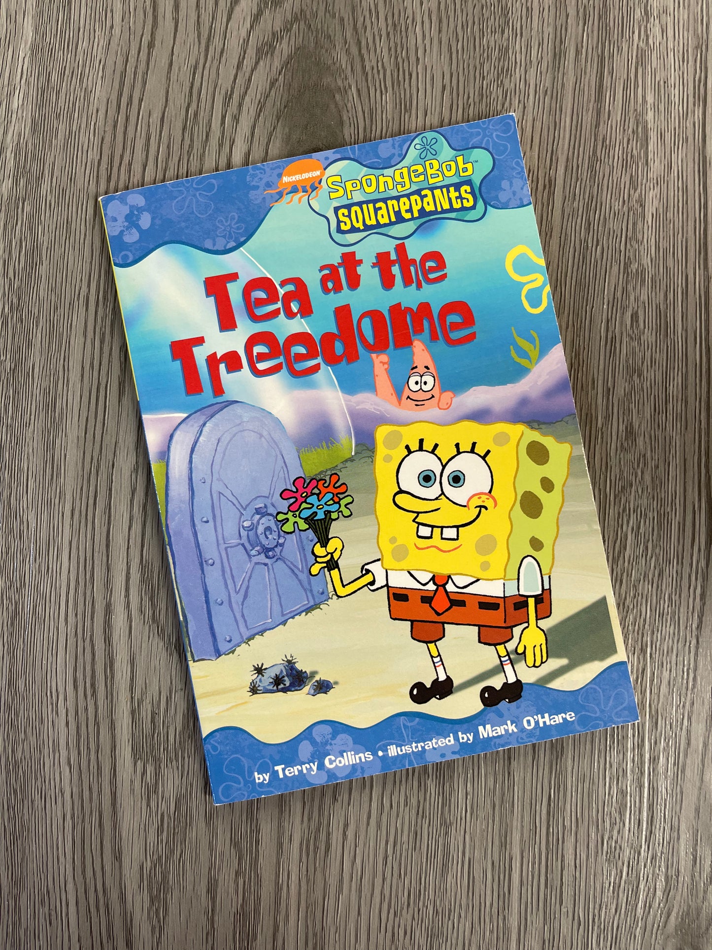 Spongebob Squarepants-Used