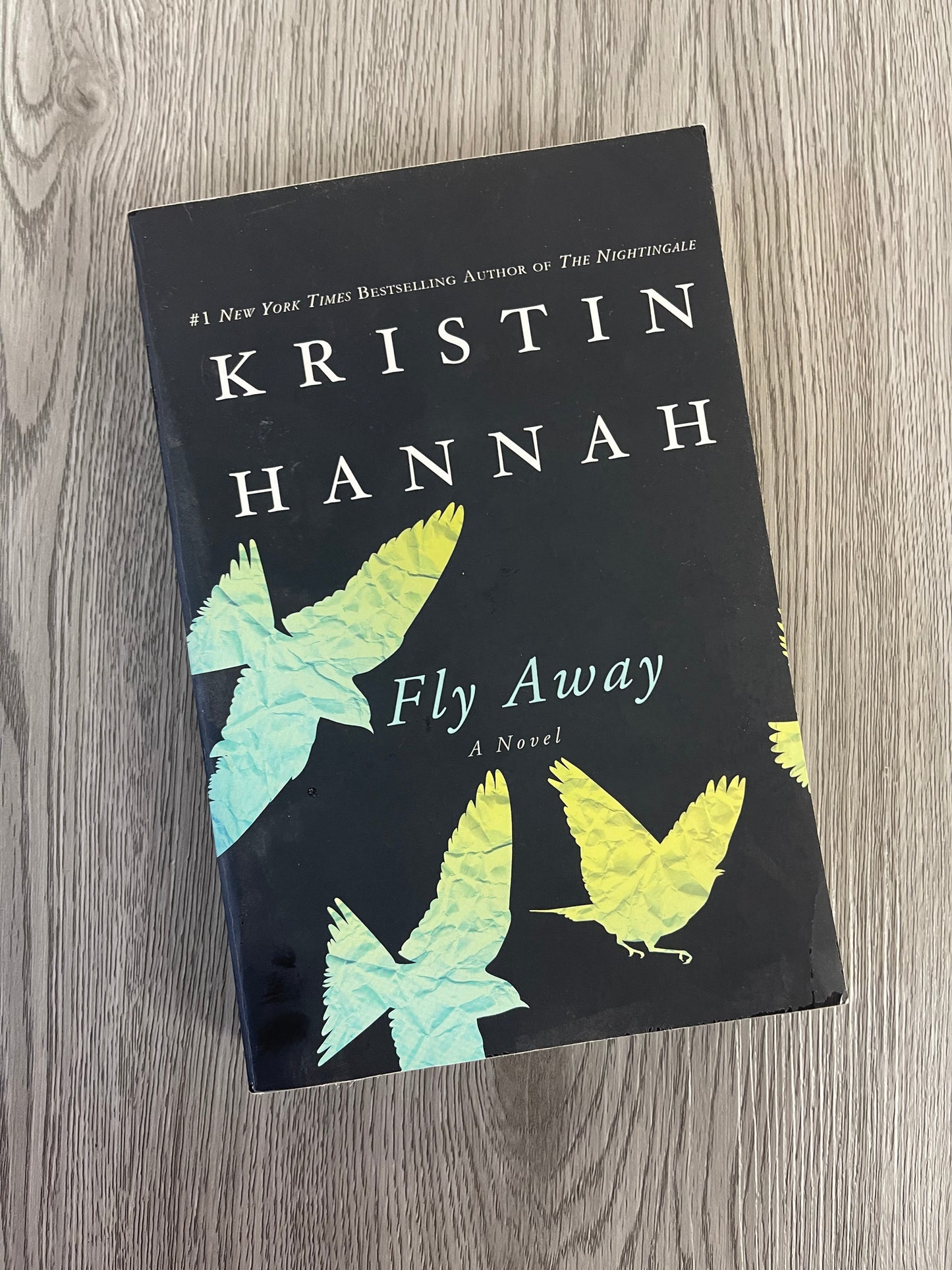 Fly Away (Firefly Lane #2) by Kristin Hannah-Used