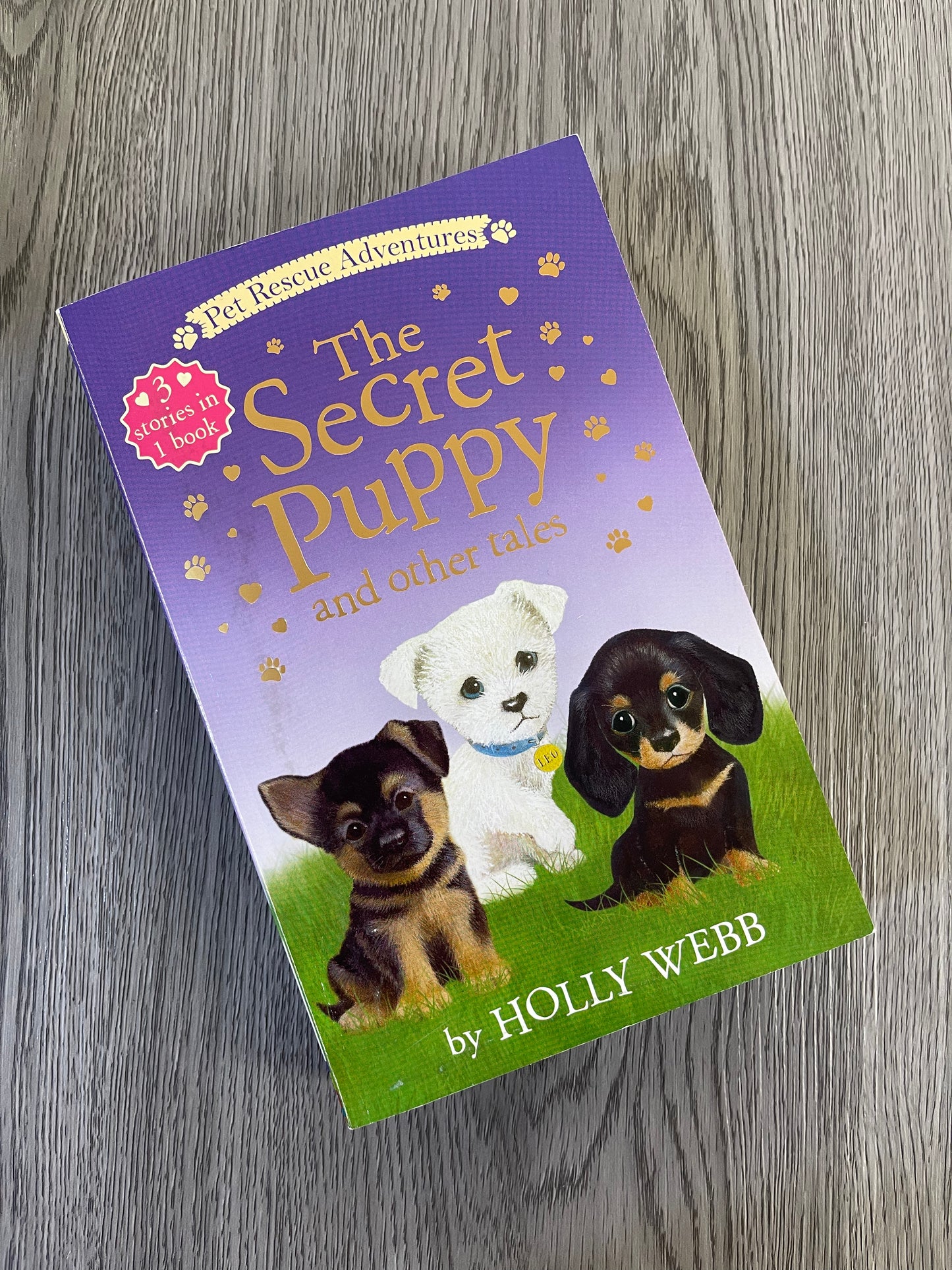 Pet Rescue Adventures Series by Holly Webb