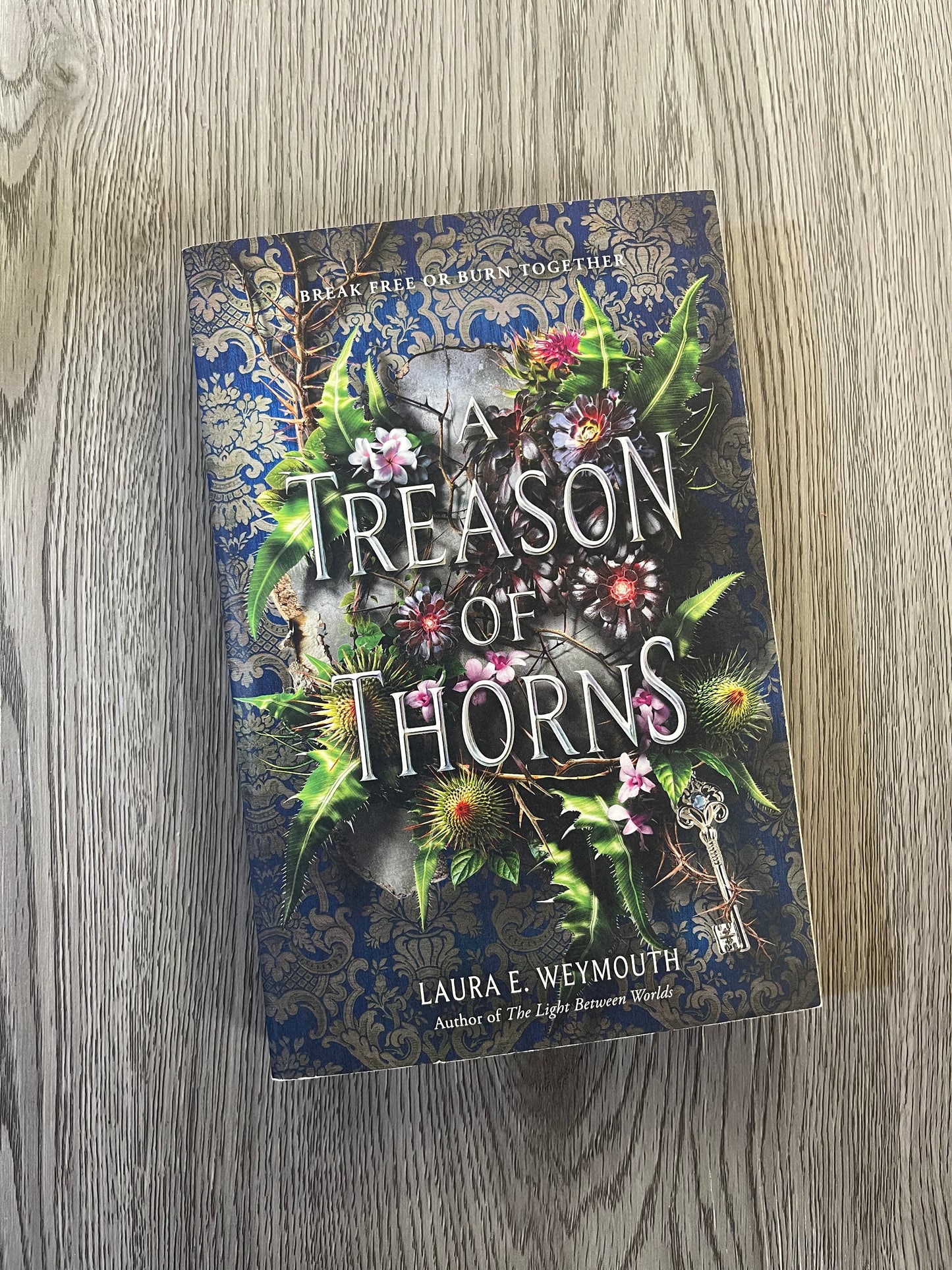 A Treason of Thorns by Laura E. Weymouth-Used