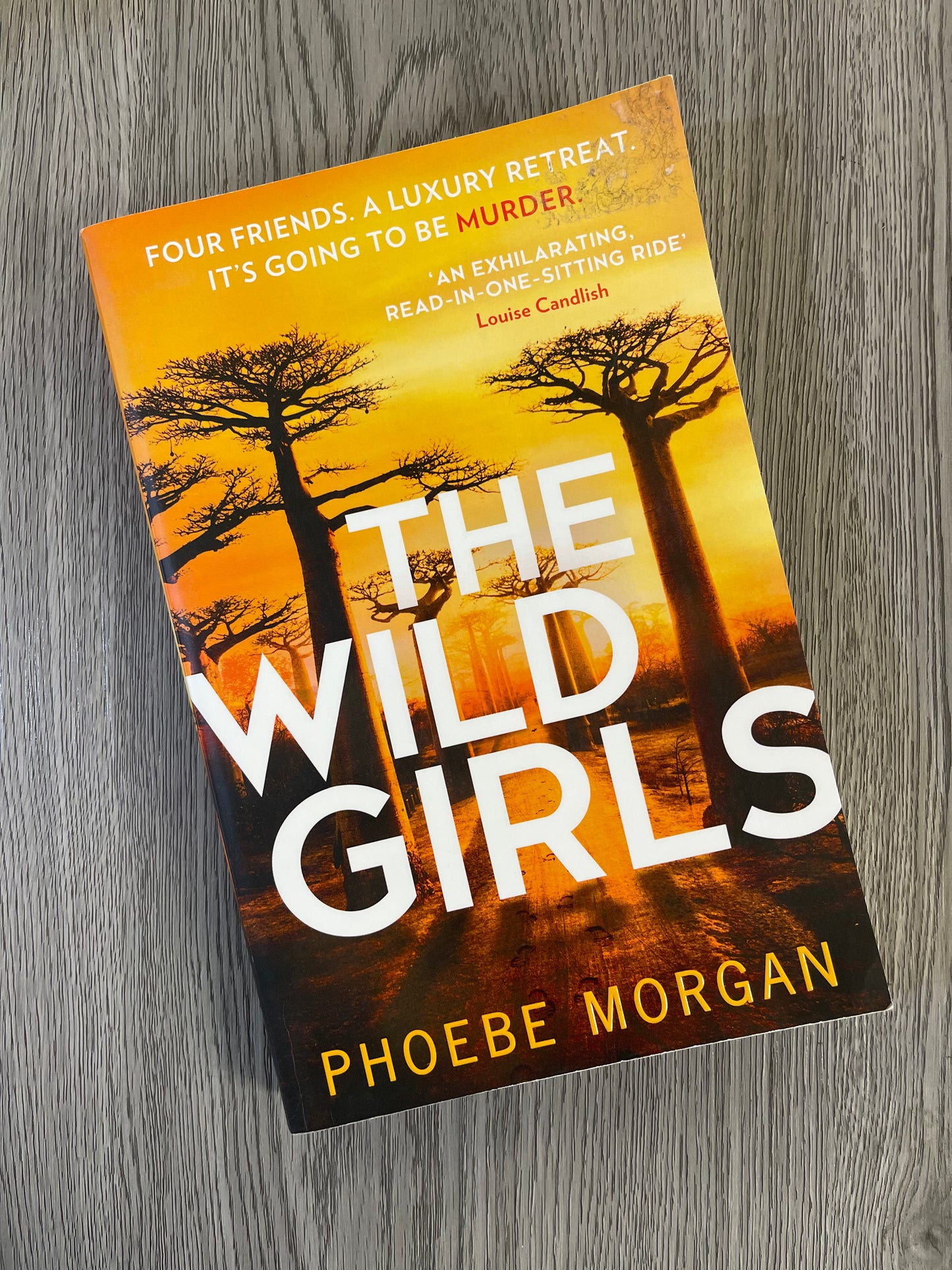The Wild Girls by Phoebe Morgan-Used