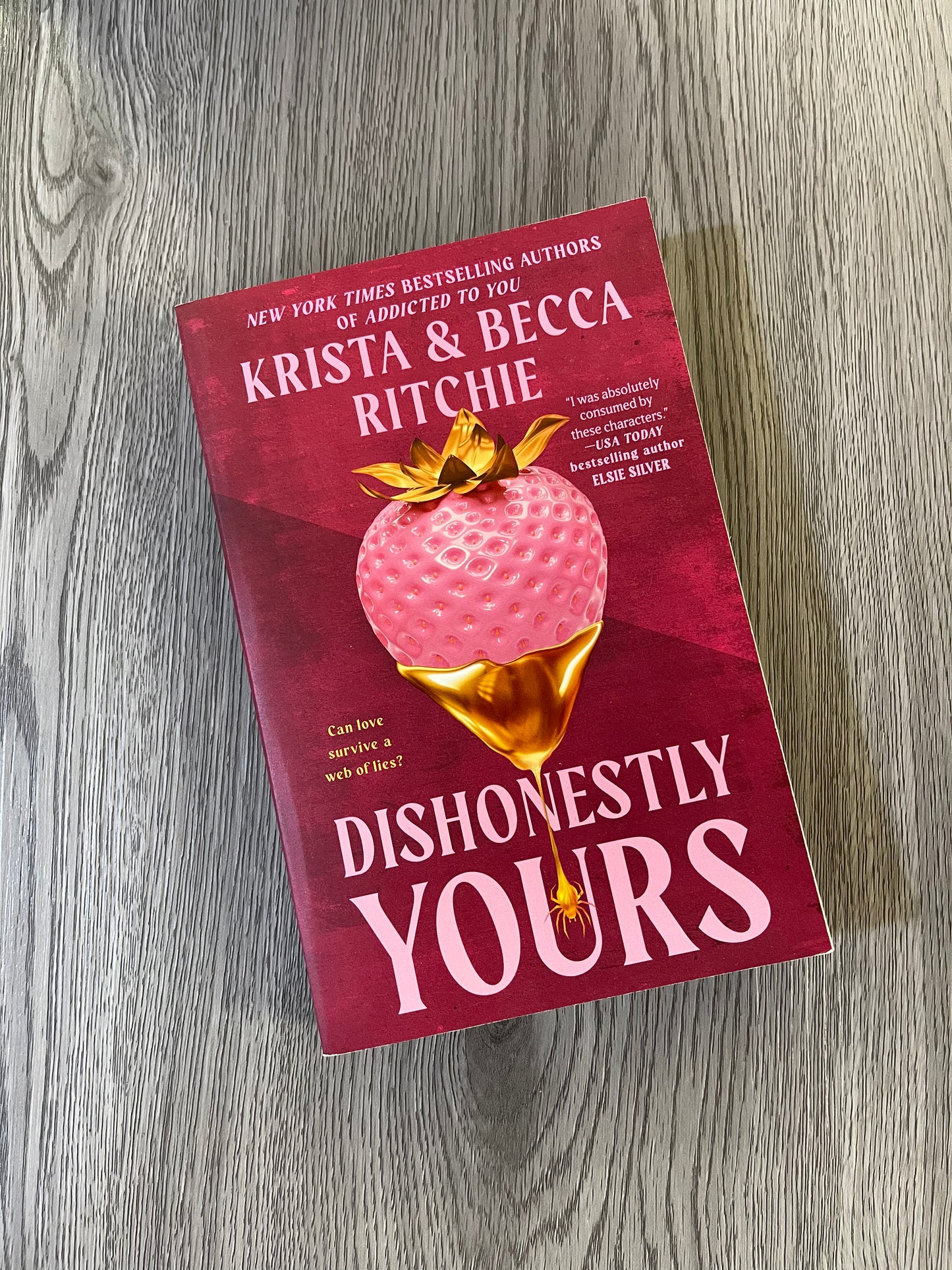 Dishonestly Yours (Webs We Weave #1) by Krista & Becca Riche-Used