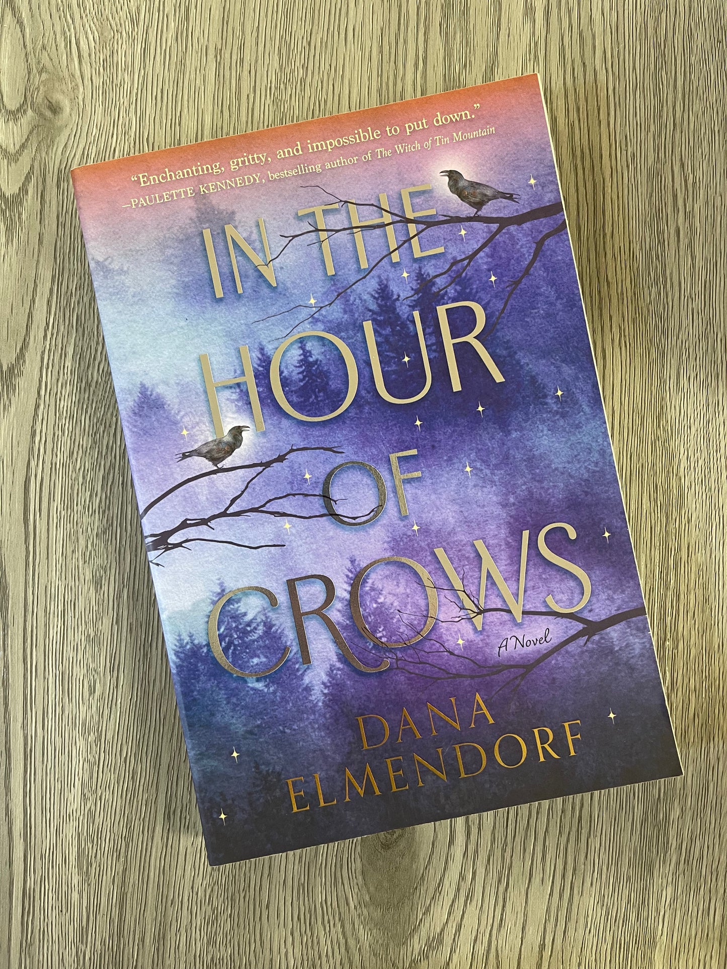 In the Hour of Crows by Dana Elmendorf-Used