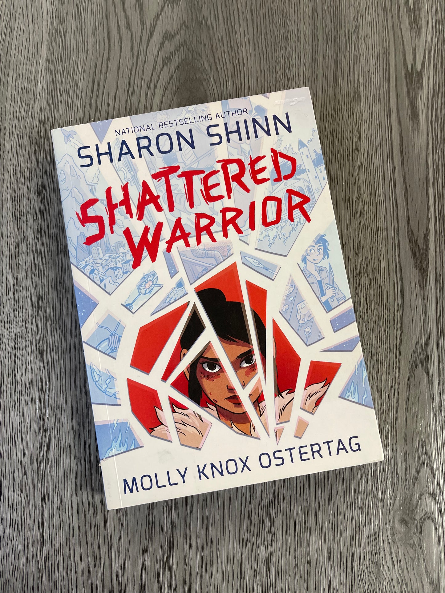 Shattered Warrior by Sharon Shinn-Graphic Novel Used
