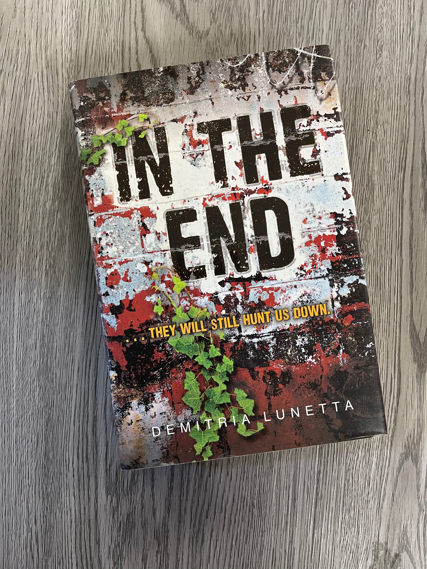 In the End (In the After #2) Demitria Lunetta-Hardcover