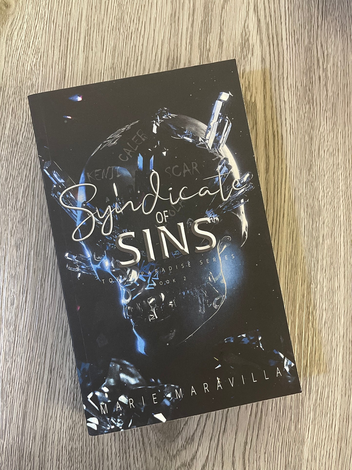 Syndicate of Sins (Toxic Paradise #2) by Marie Maravilla - Used