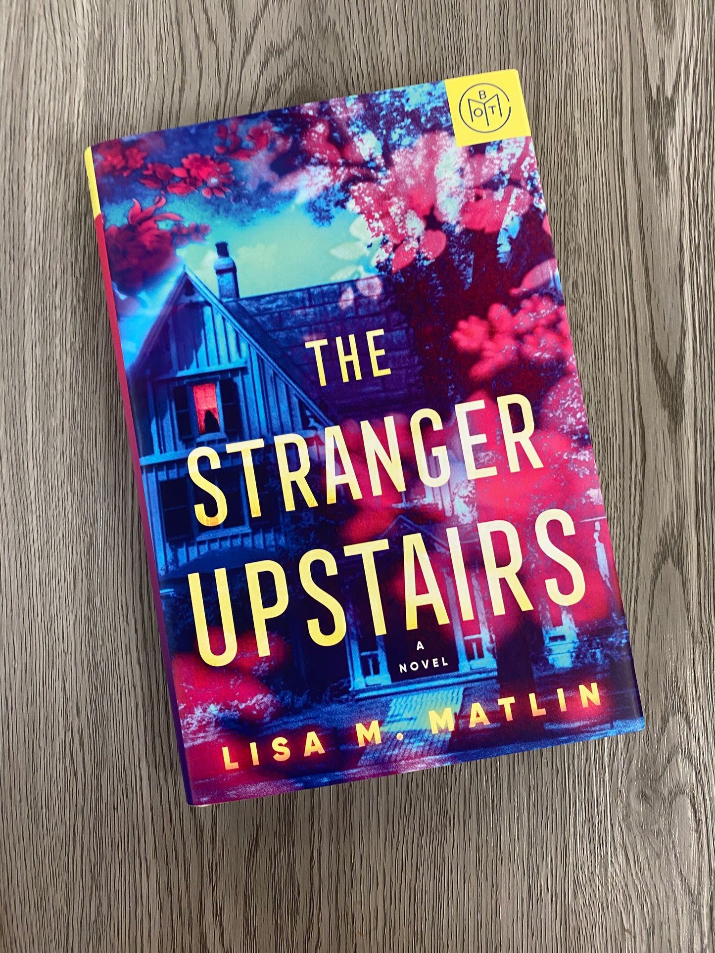 The Stranger Upstairs by Lisa M. Matlin-Hardcover Used