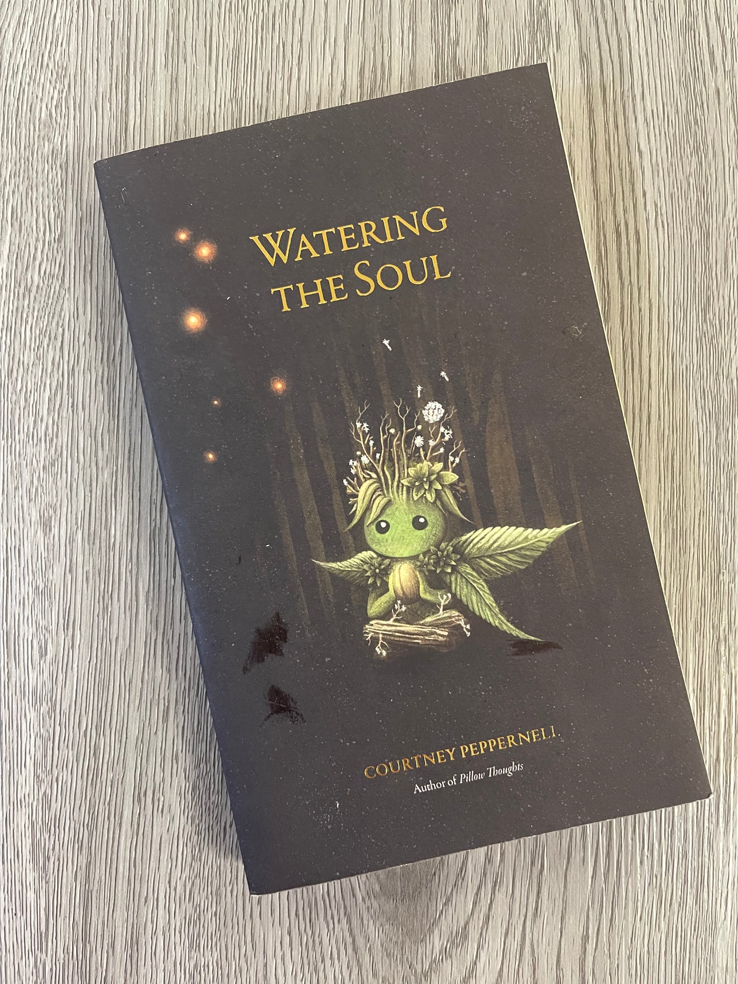Watering The Soul by Courtney Peppernell-Used