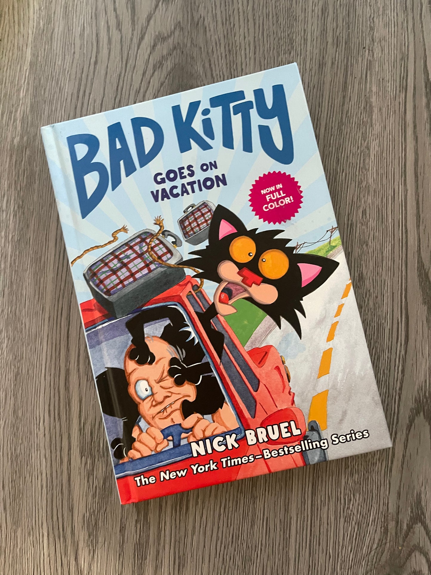 Bad Kitty Series by Nick Bruel-Used