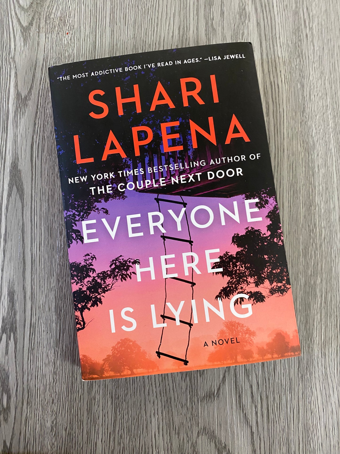 Everyone Here is Lying by Shari Lapena-Used