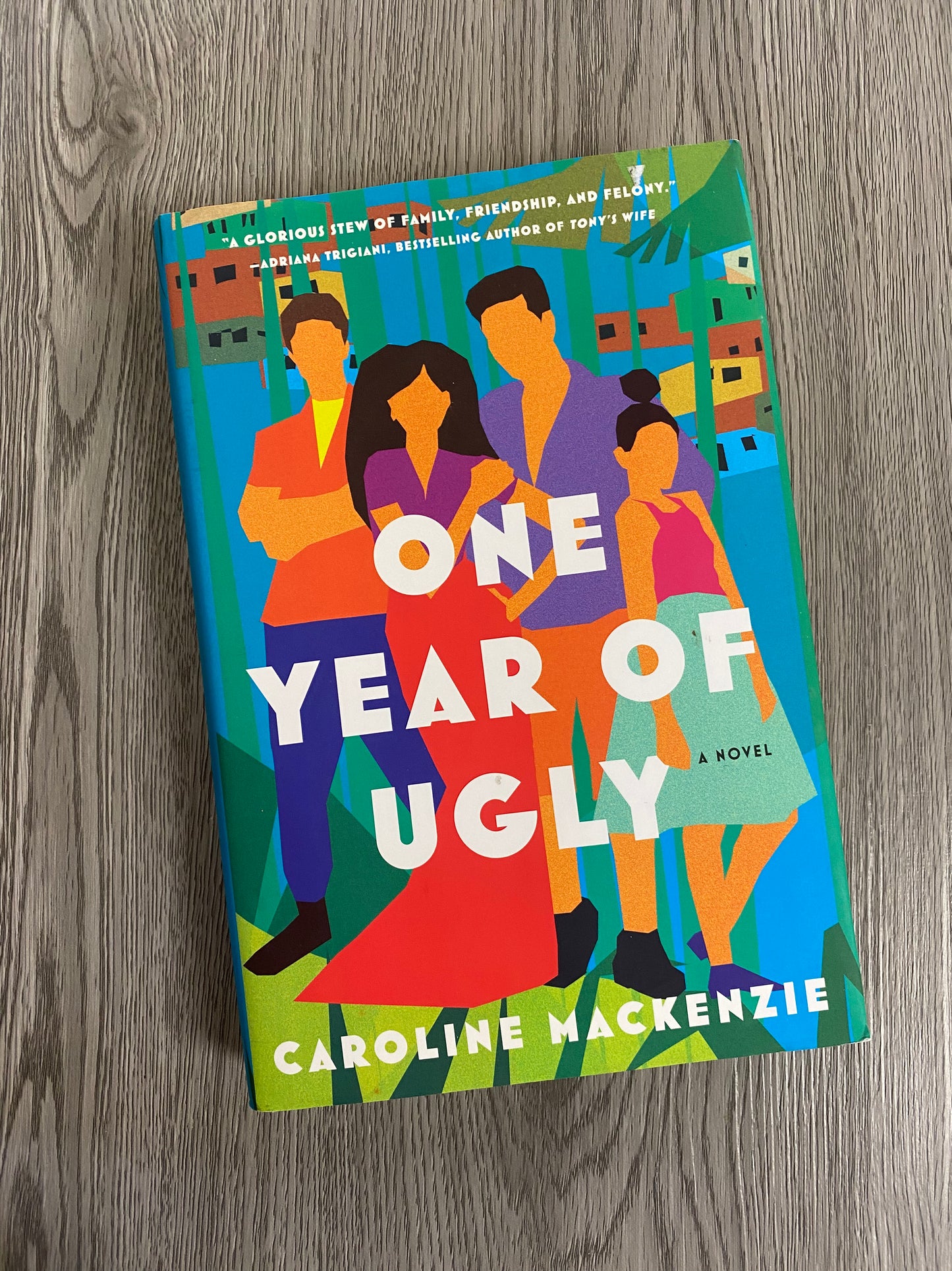One Year of Ugly by Caroline Mackenzie-Hardcover Used