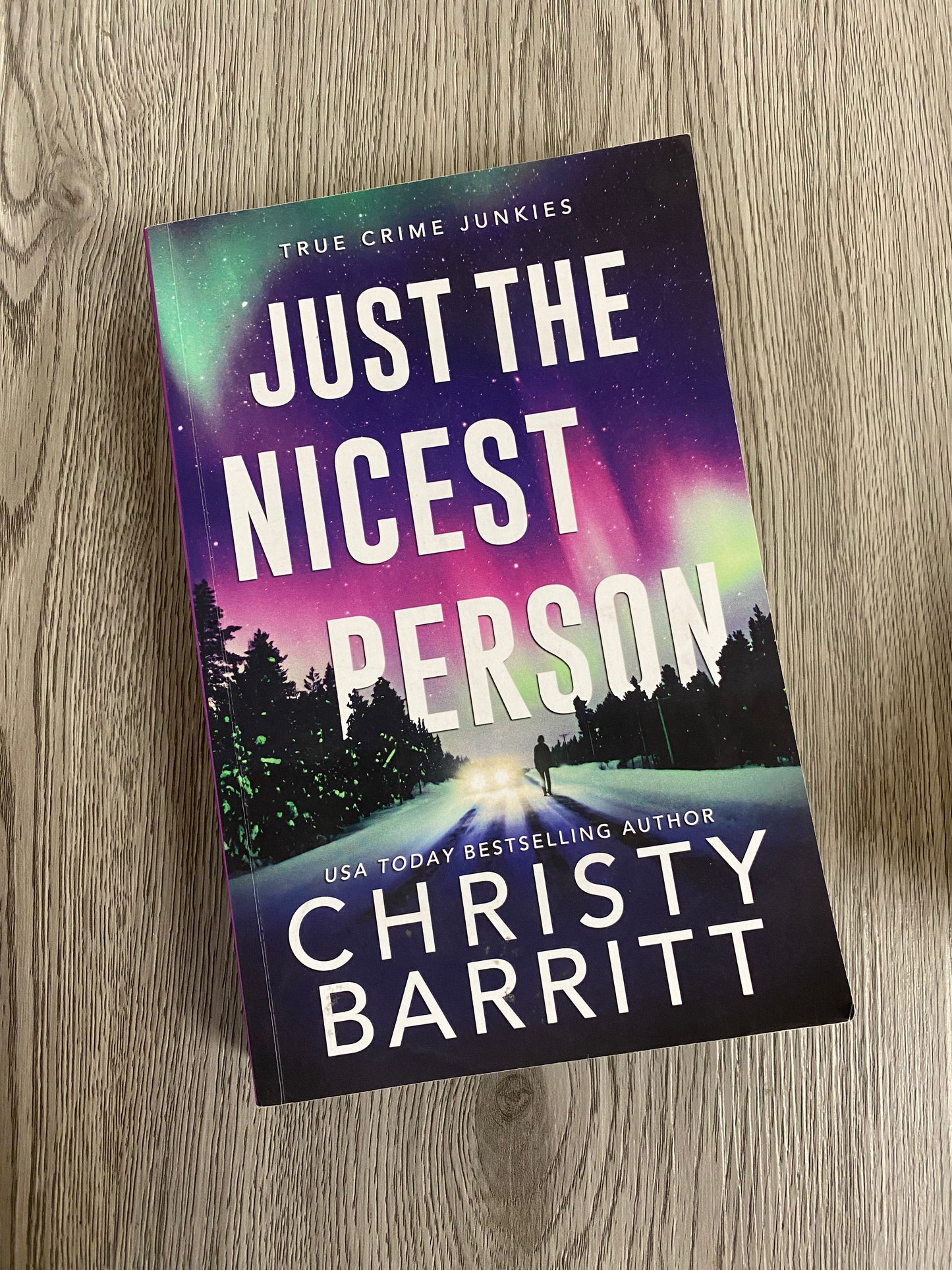 Just The Nicest Person ( True Crime Junkies #1) by Christy Barritt-Used