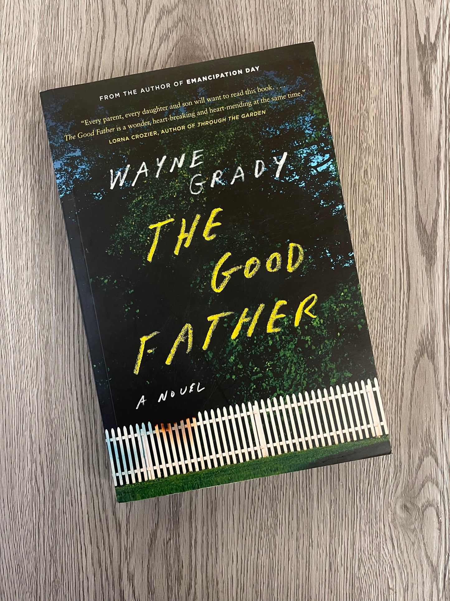 The Good Father by Wayne Grady-Used
